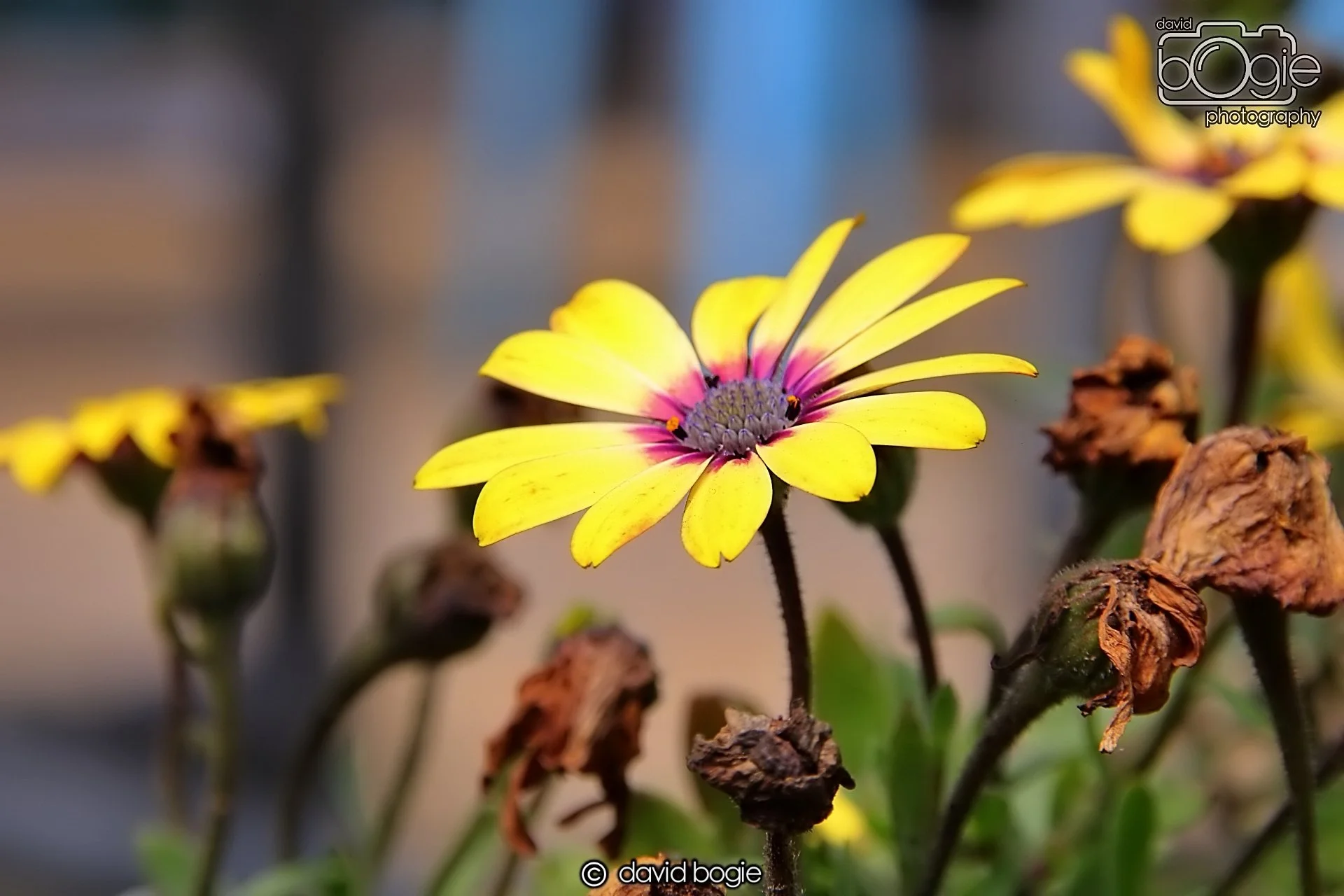 20240531 130519 St Andrews 0237.JPG