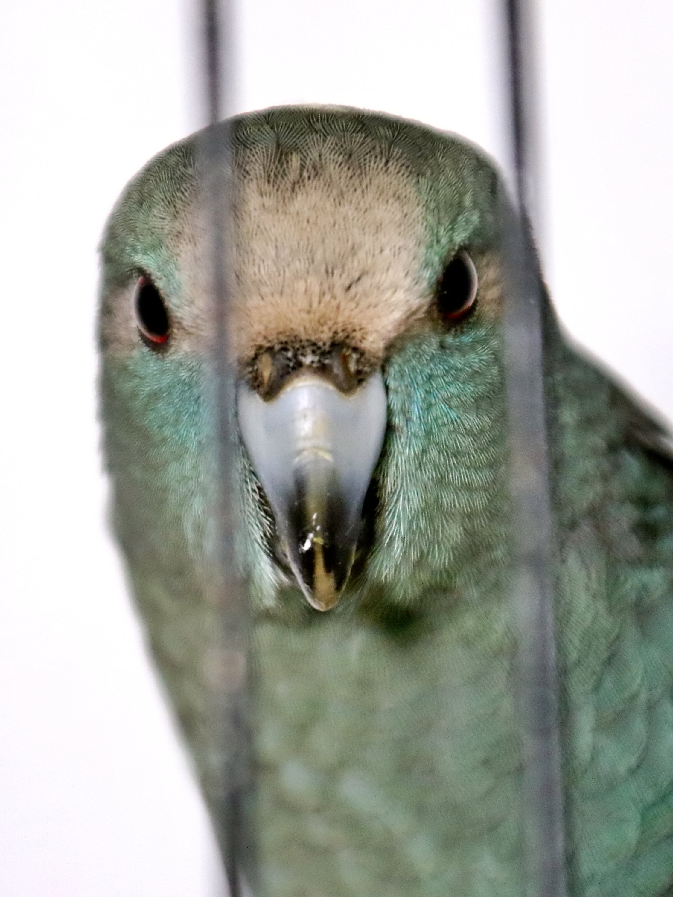 20251102 125306 Markinch CBS  0604.JPG