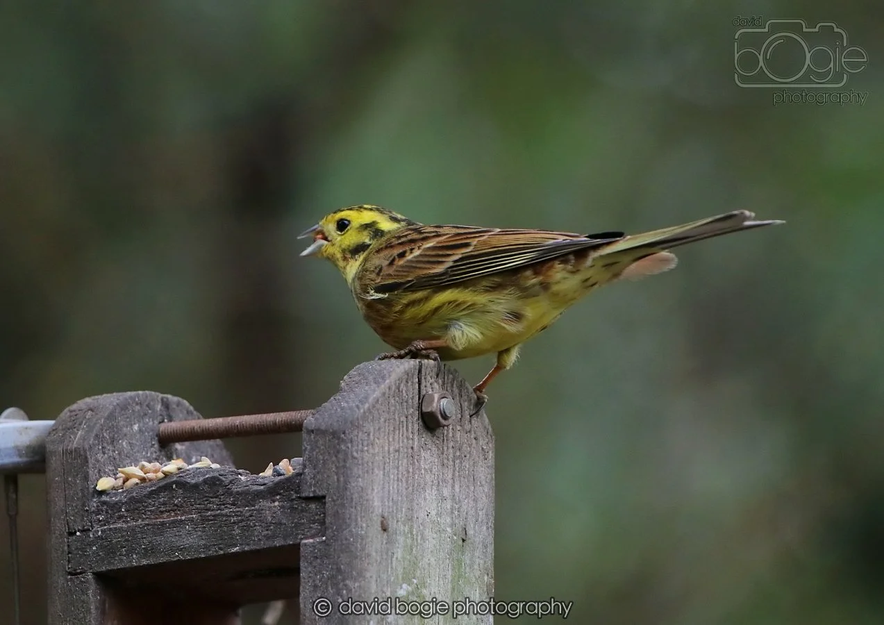 20260215 132223 Silverburn 0101.jpg