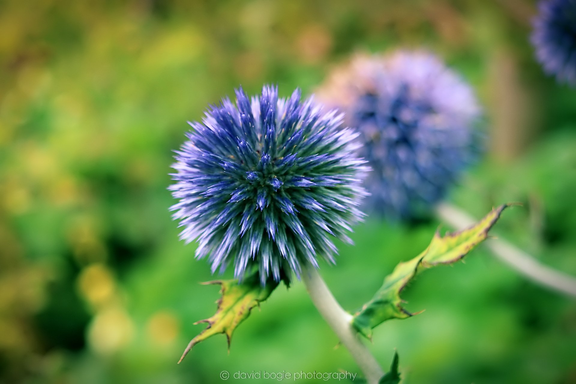 20190827 124036  Kirkcaldy 0014.jpg