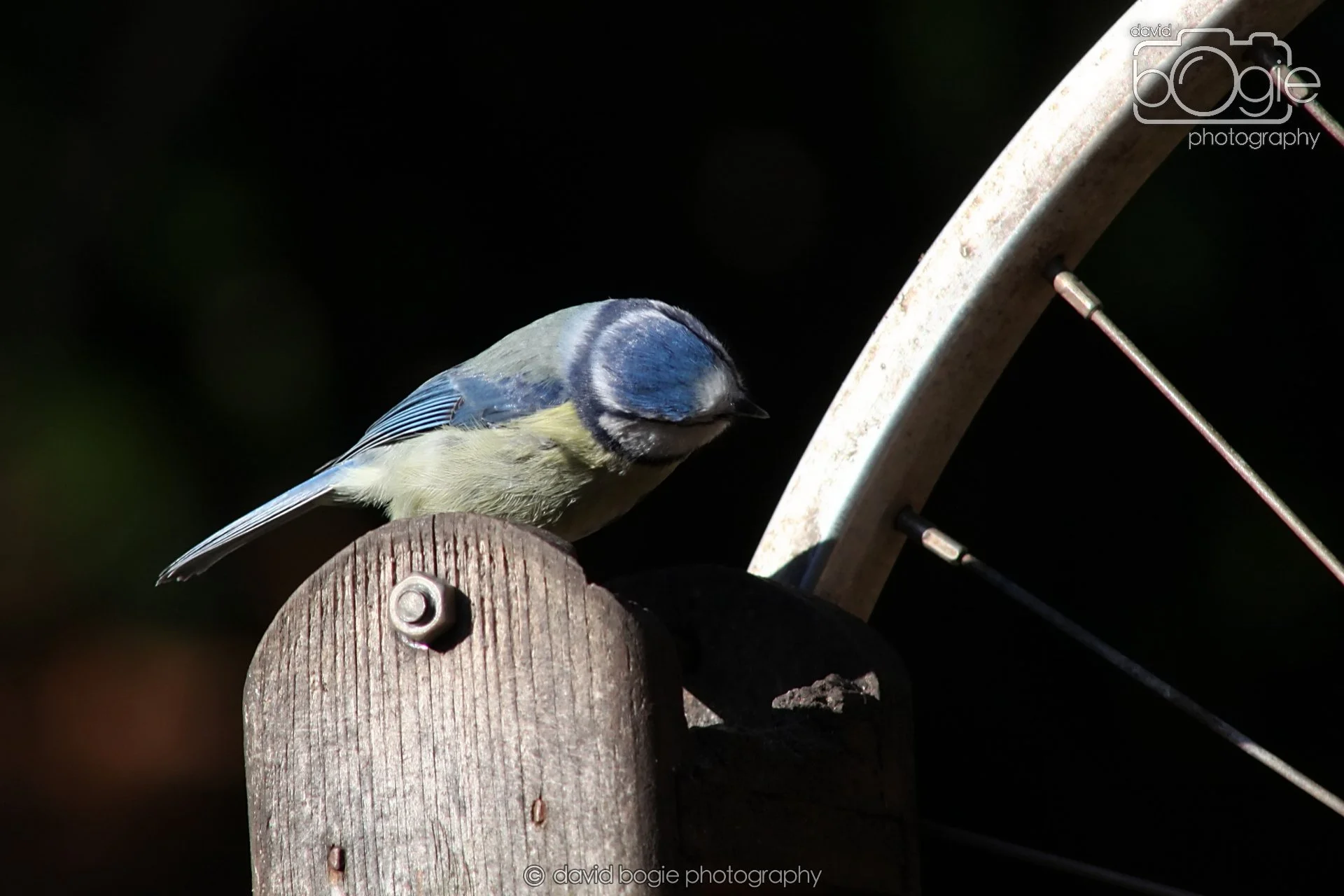 20251125 134506 Silverburn 0170.JPG