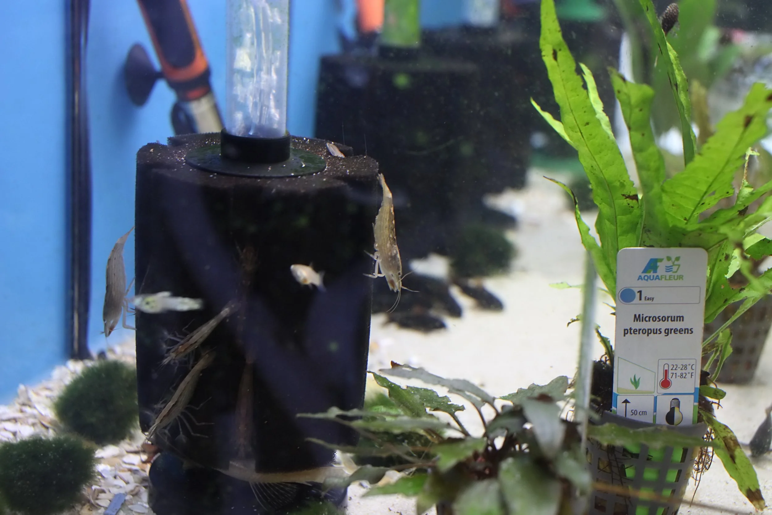 20251206 123553 K&S 0035.JPG