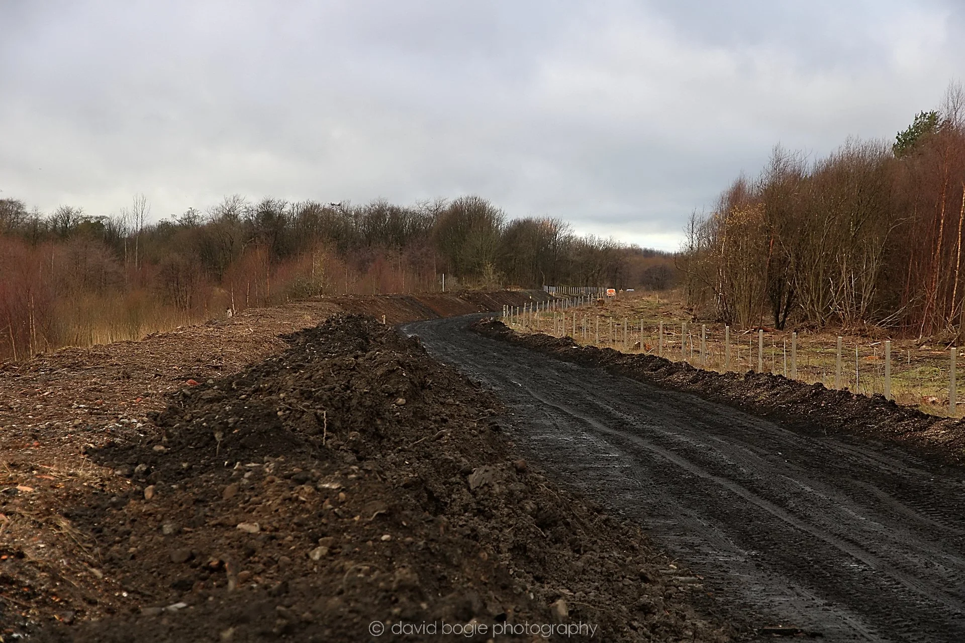 YEAR20220202 Levenmouth 00027.jpg