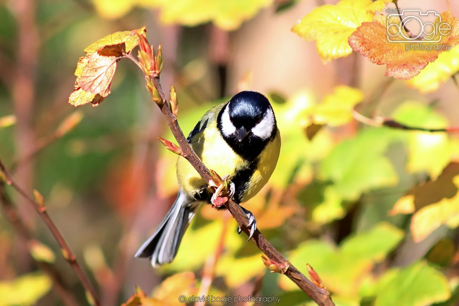 20251125 132846 Silverburn 0033.JPG