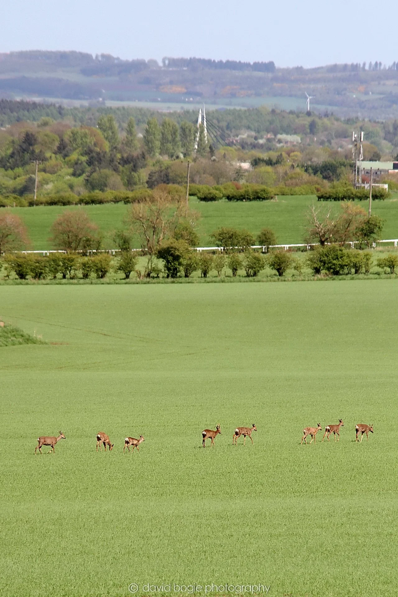 YEAR20230509 Glenrothes 0435.jpg