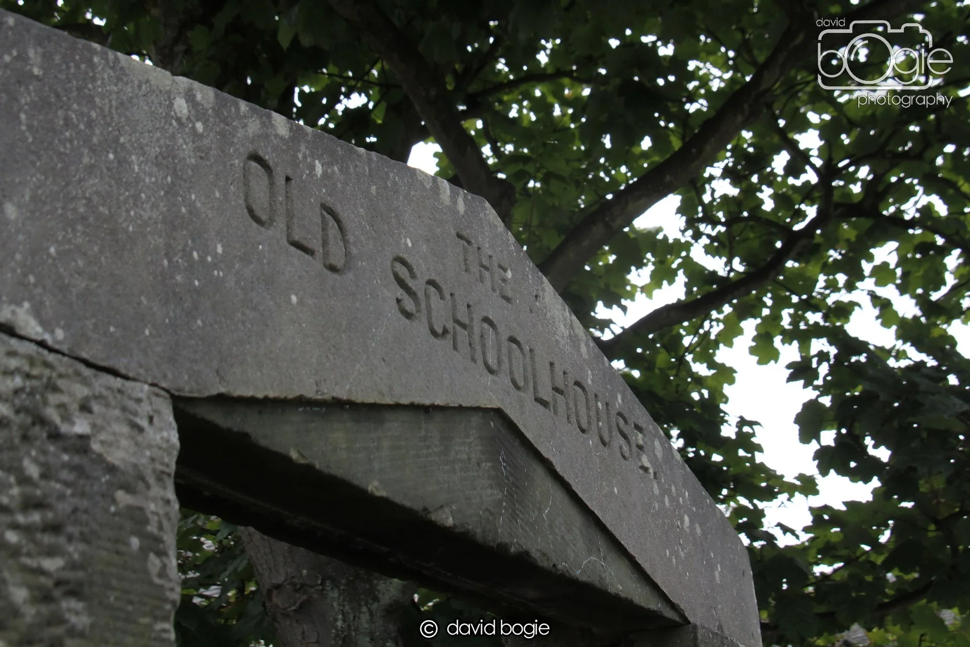 20230814 Kinghorn 133336 0166.jpg