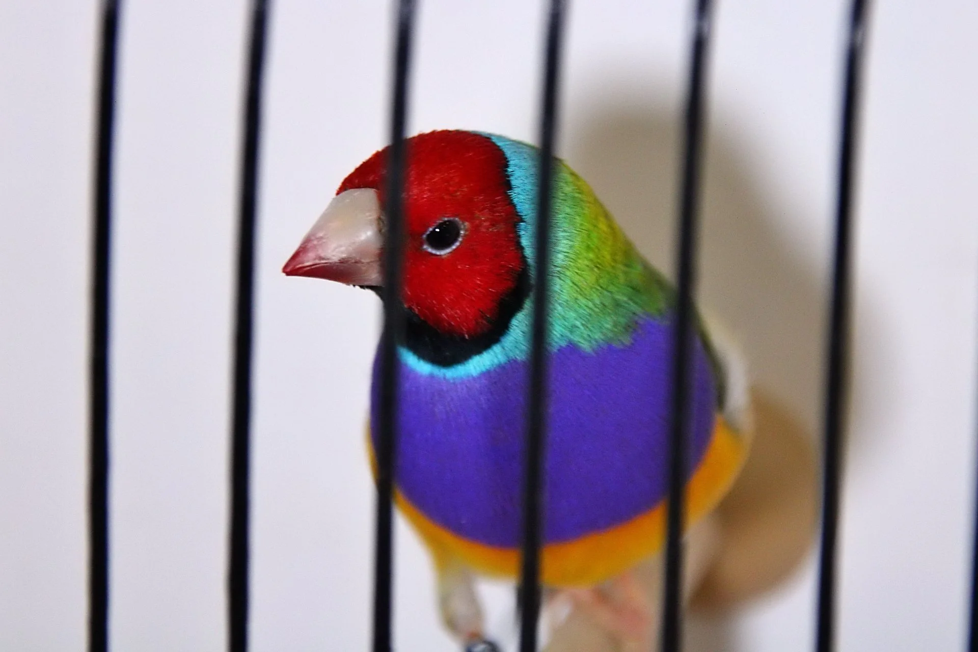 20241103 130844 MCBS Show 0477.JPG