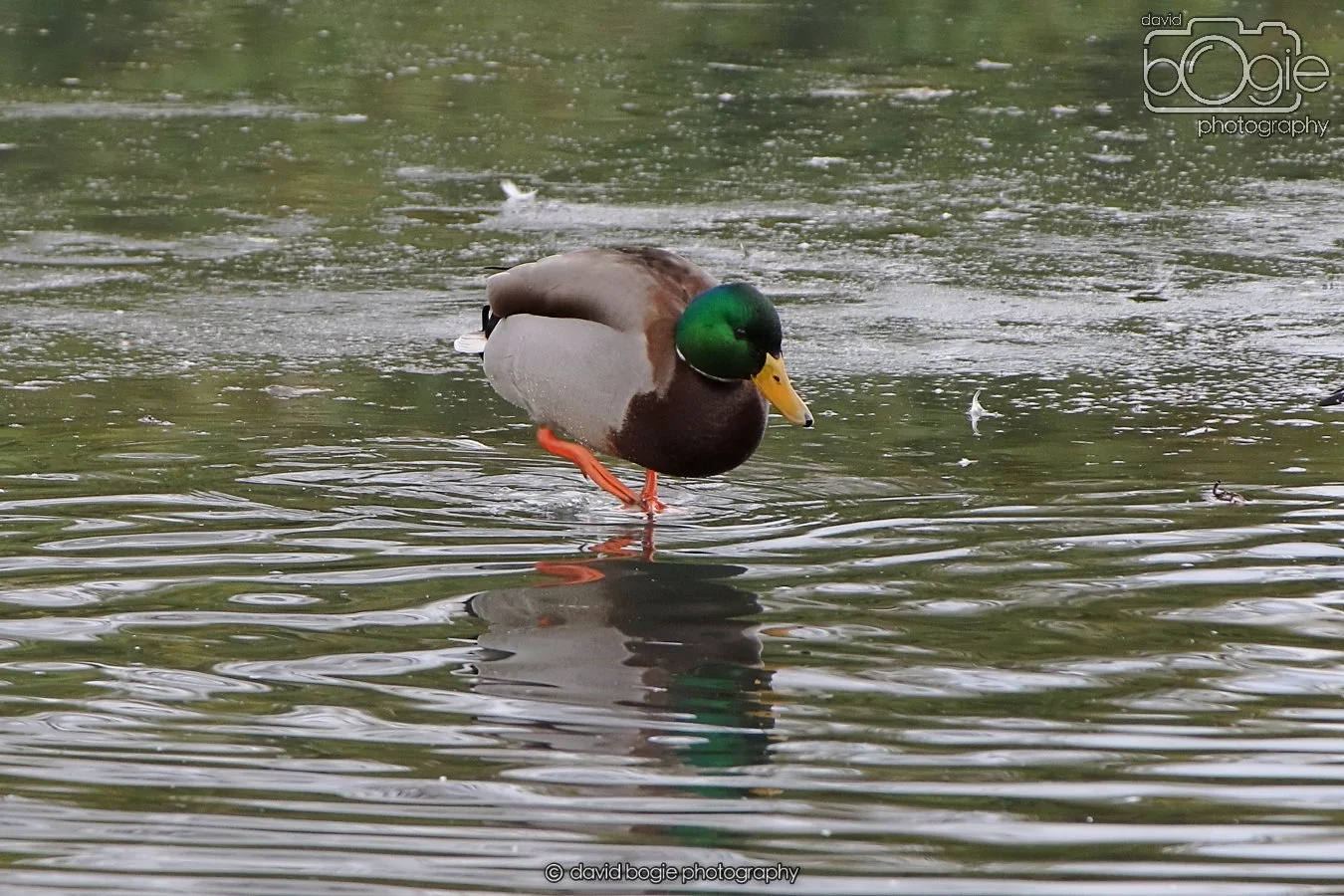 20260114 124658 Beveridge Park 0130.JPG