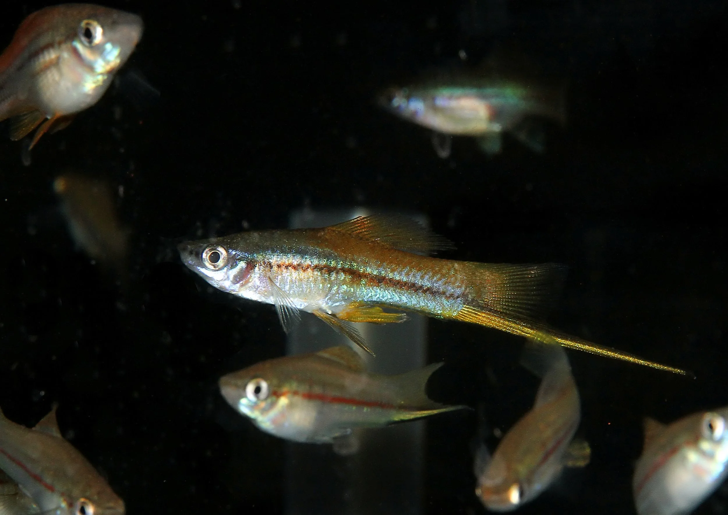 20260403 142738 IMG_0196.jpg