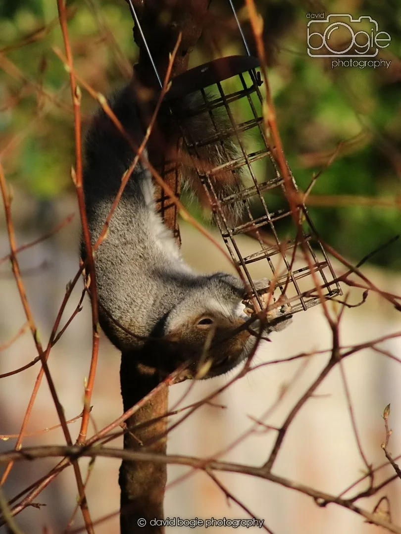 20251231 134228 Silverburn 0181.JPG