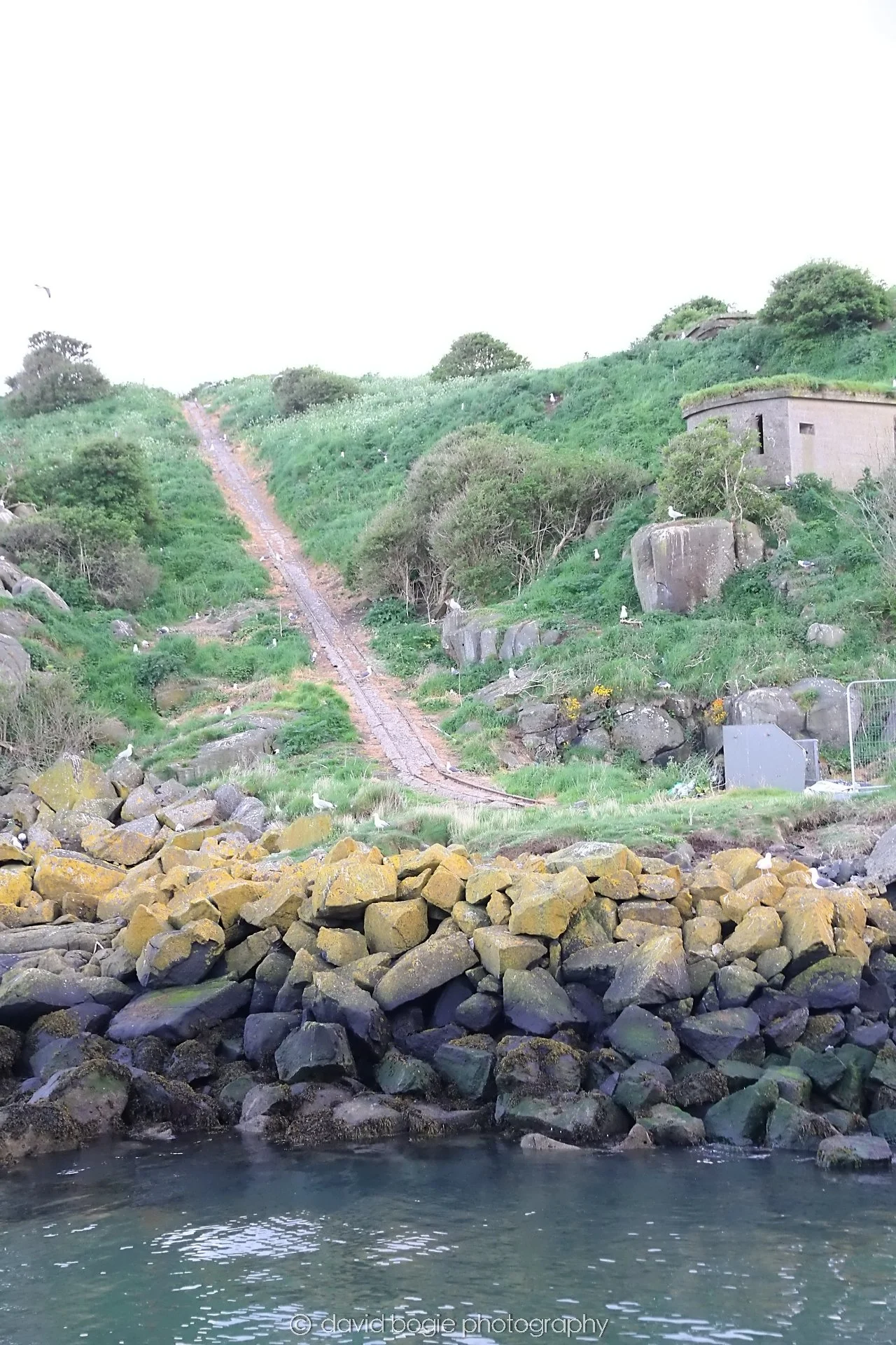 YEAR20240511 195822 0032 Forth Bridges .jpg