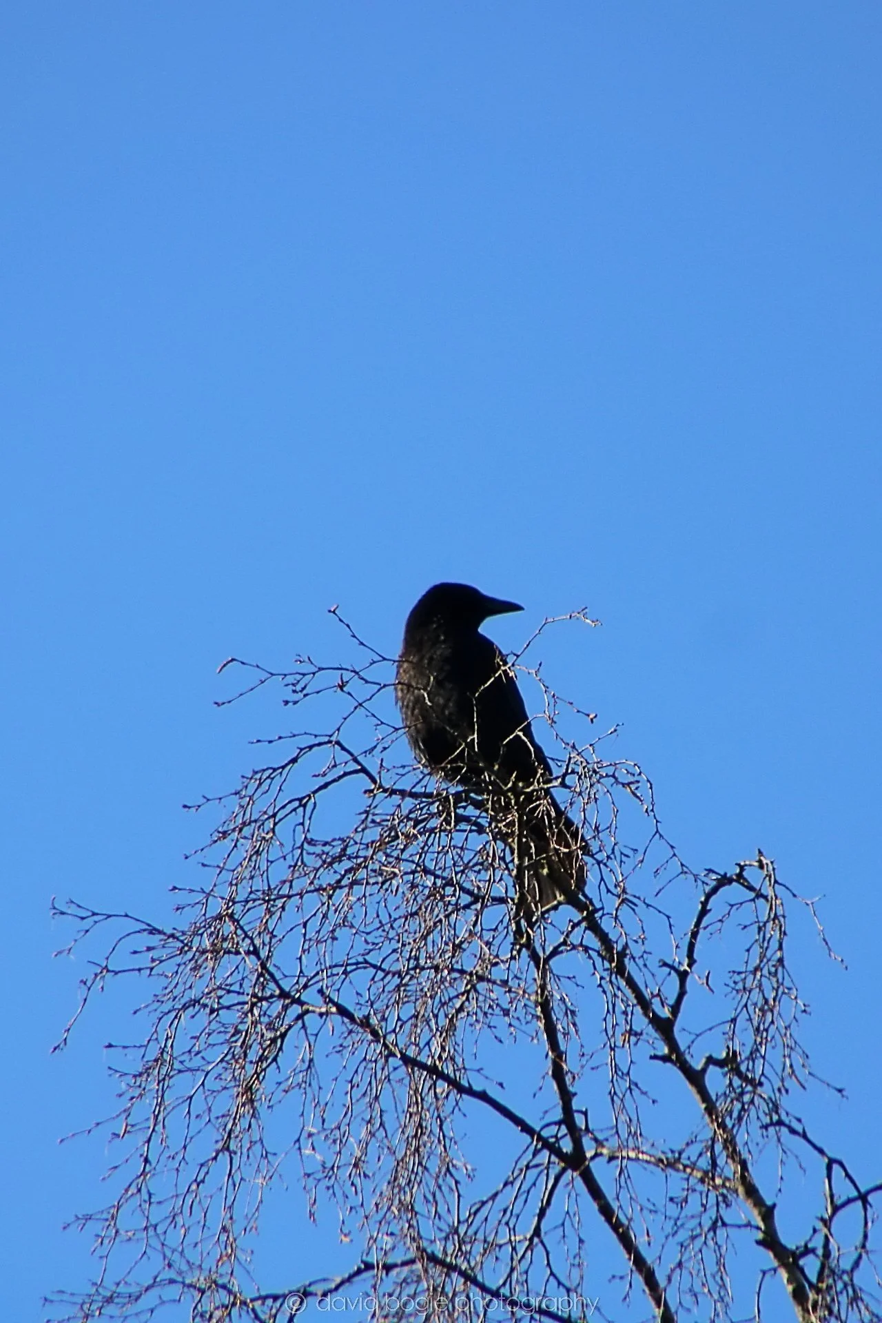 20210525 201324 Dunnikier 0004.jpg