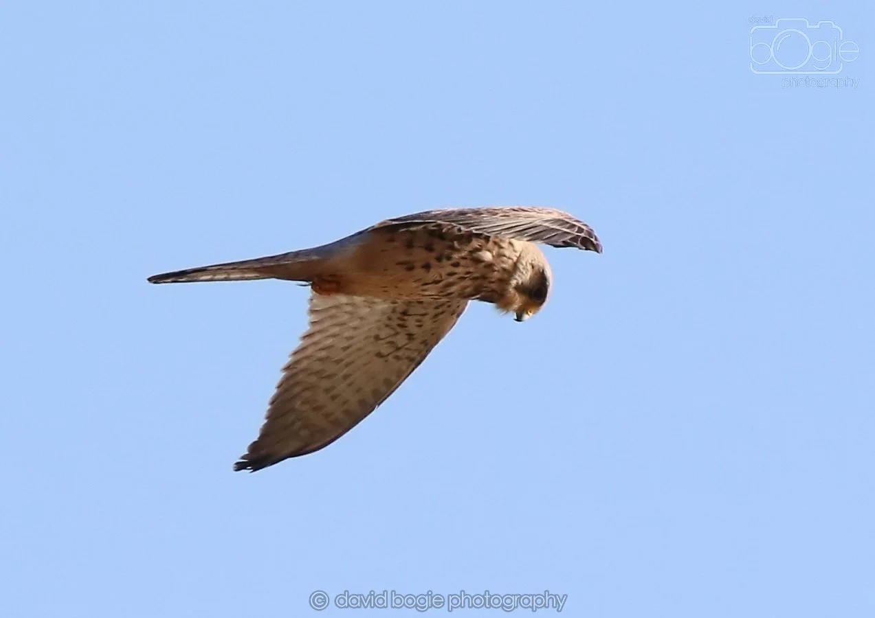 20260314 162318 Elie 0156.jpg