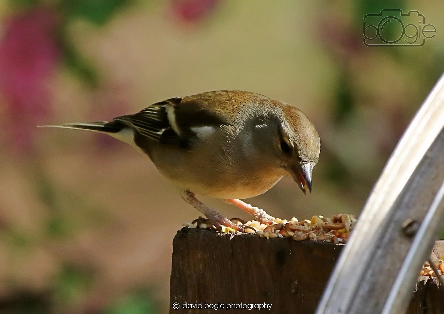 20260402 101918 Silverburn 0162.jpg