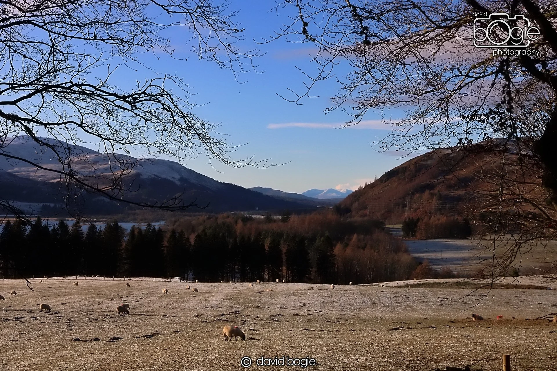 20221215 00081 Aberfeldy.JPG