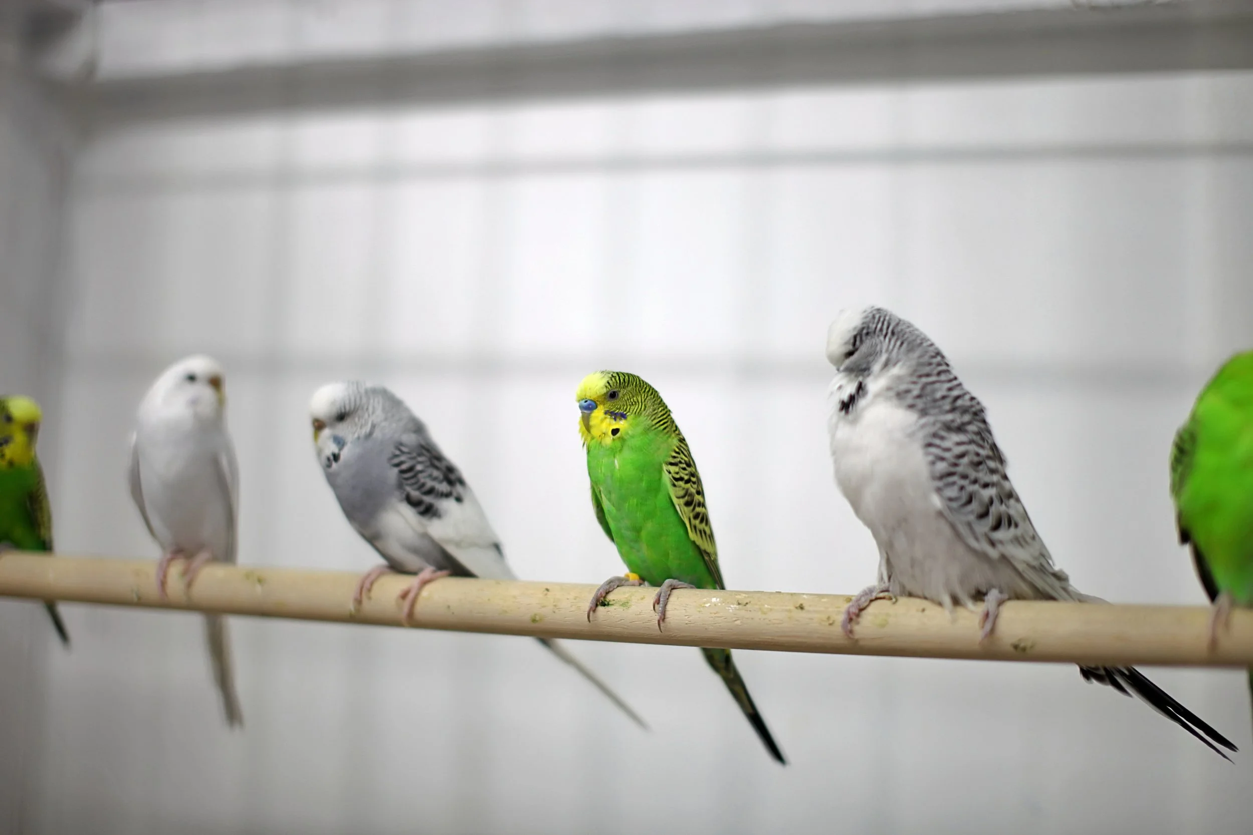 20251117 124805 IMG_0023.JPG