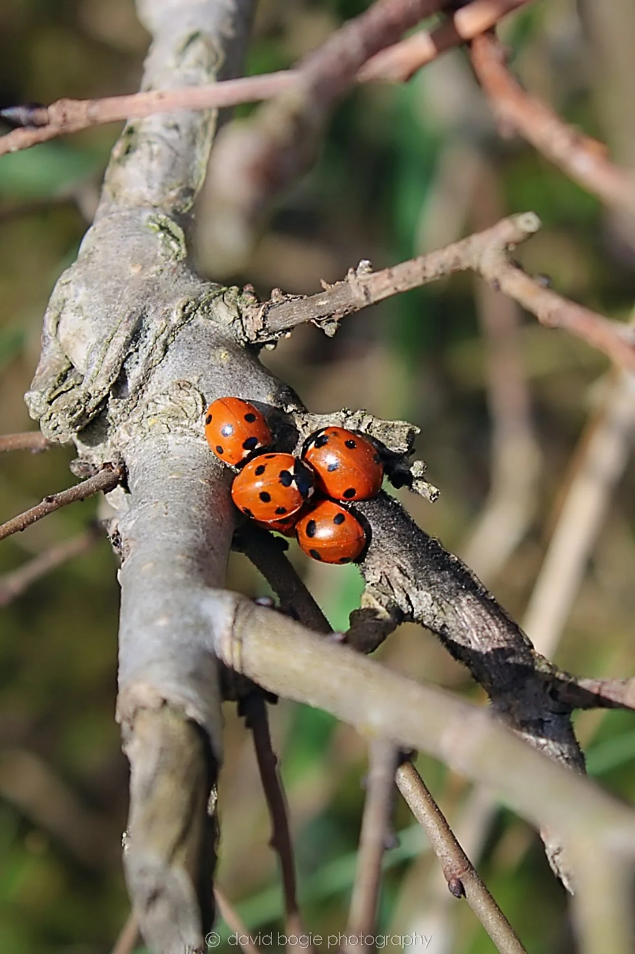 20190323 142107 Cardenden 0014.jpg