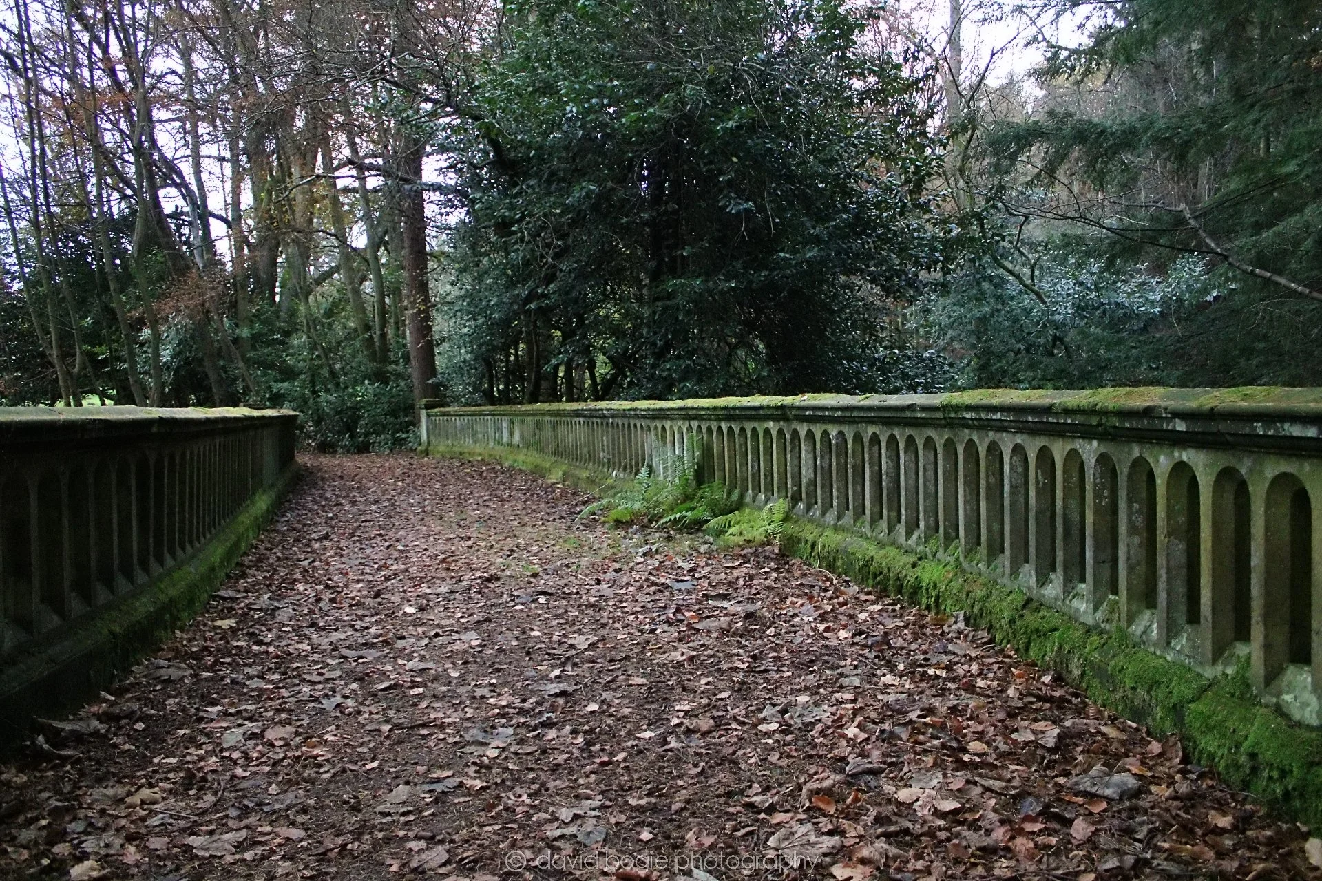 20191121 124143 Falkland 0006.jpg