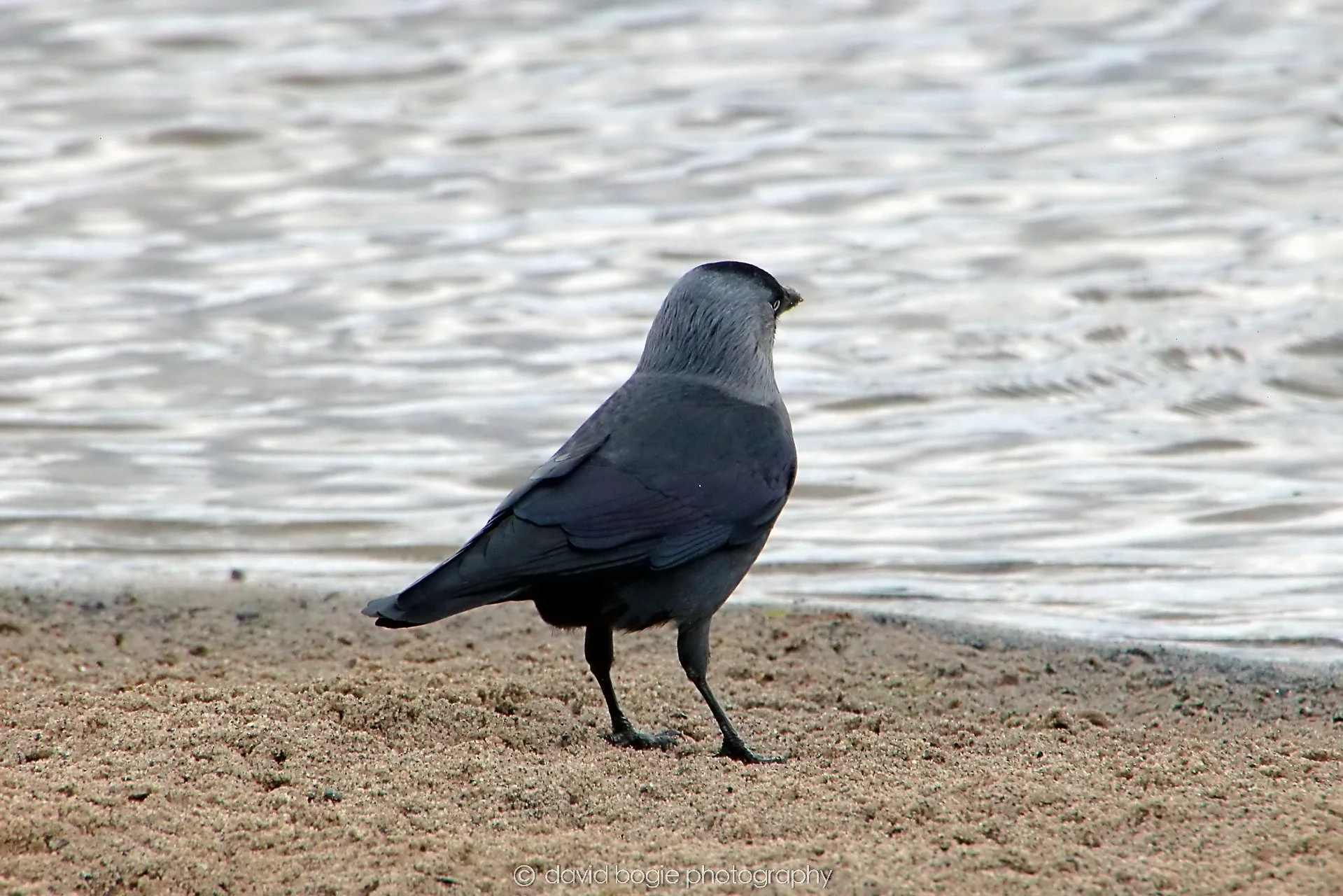 YEAR20240316 145641 Lochore Meadows 0027.jpg