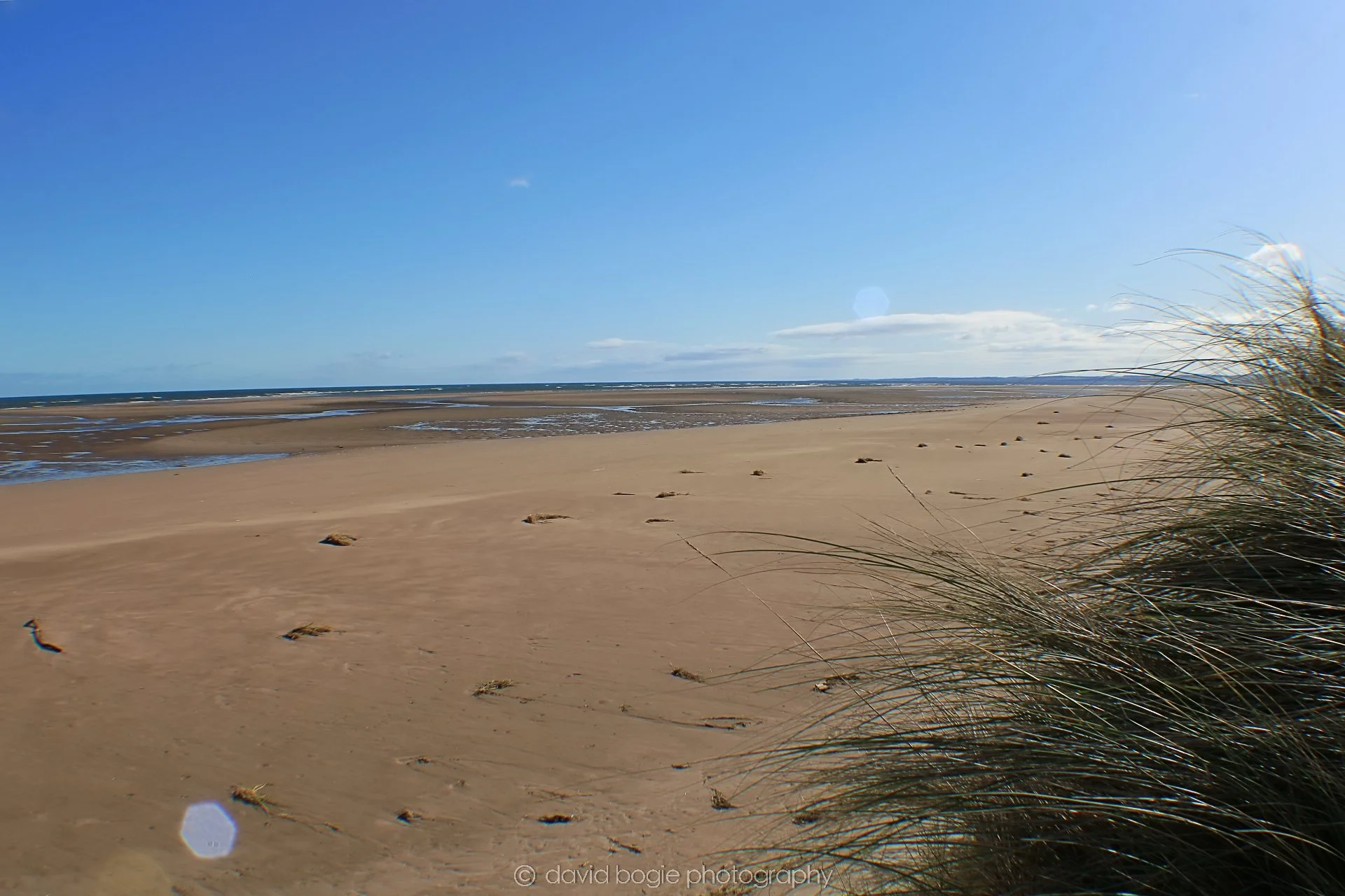 20191002 133054 Tentsmuir 0021.jpg