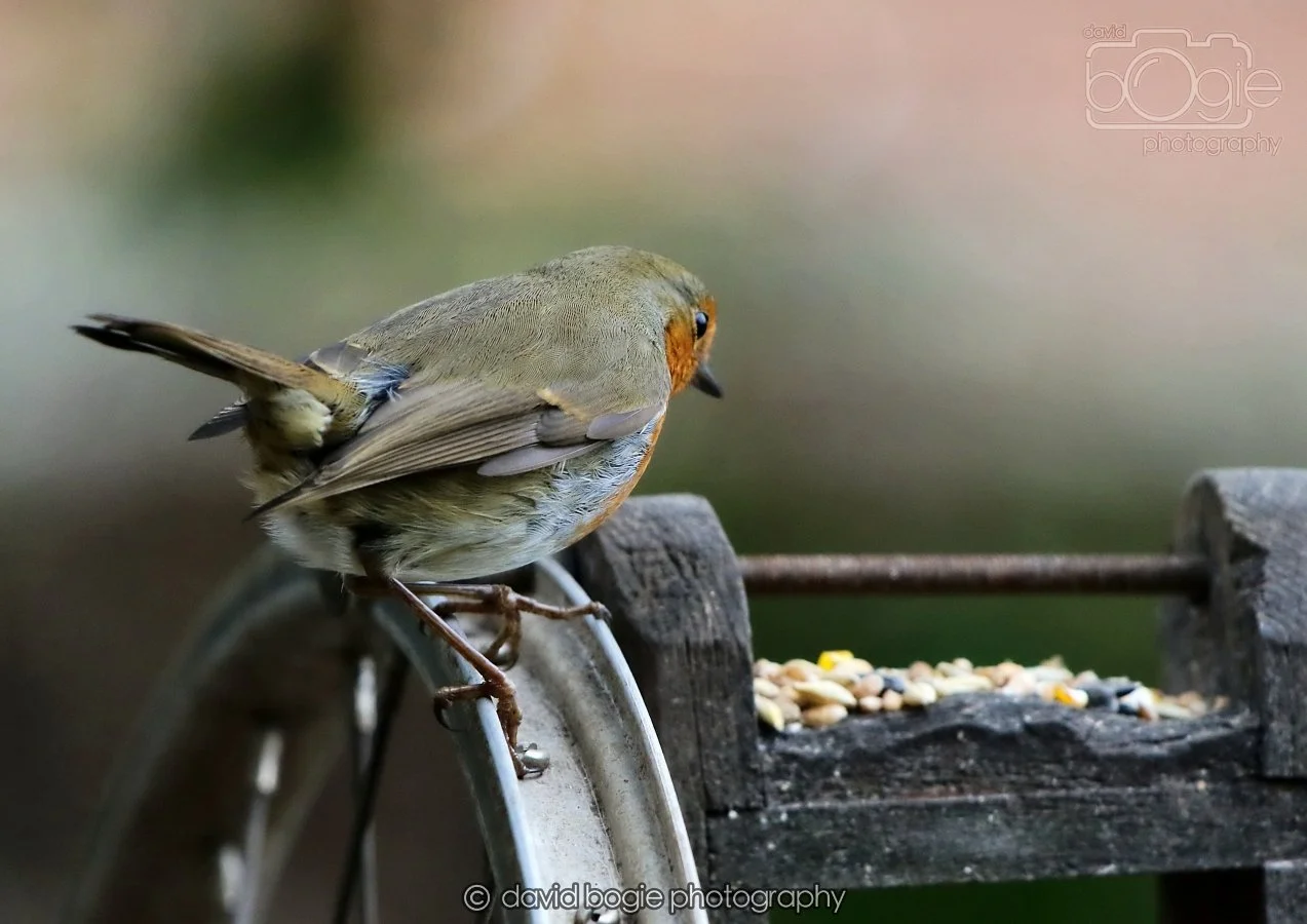 20260215 131554 Silverburn 0064.jpg