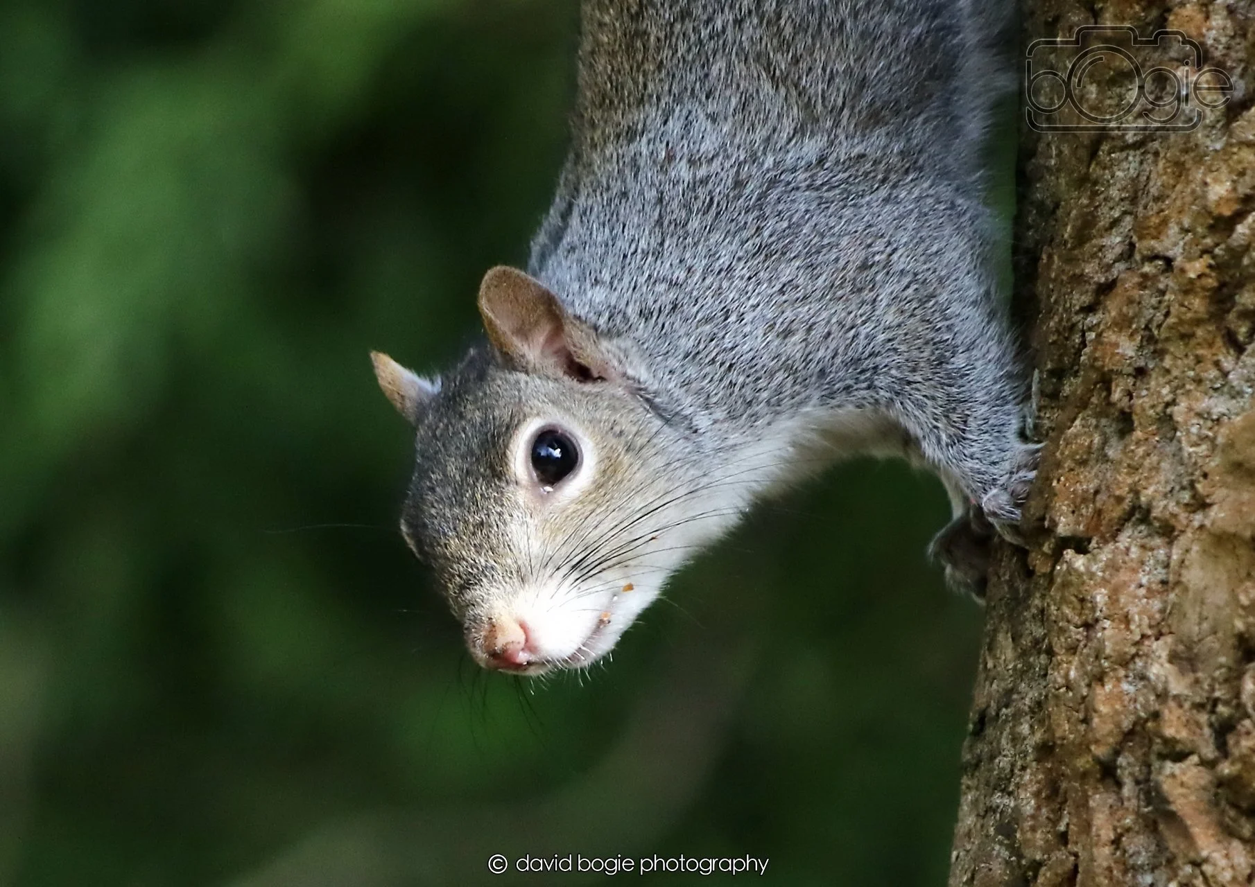 20260403 122214 Dunnikier 0186.jpg