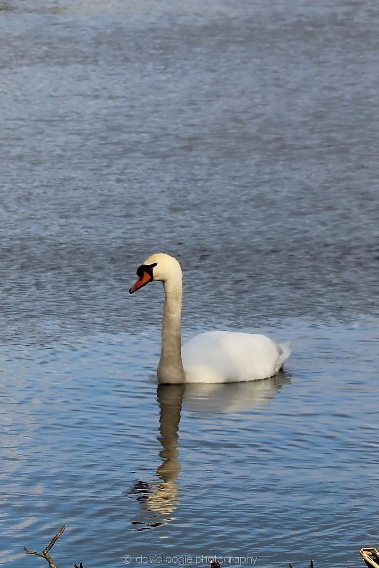 20210222 Lochore (29).jpg