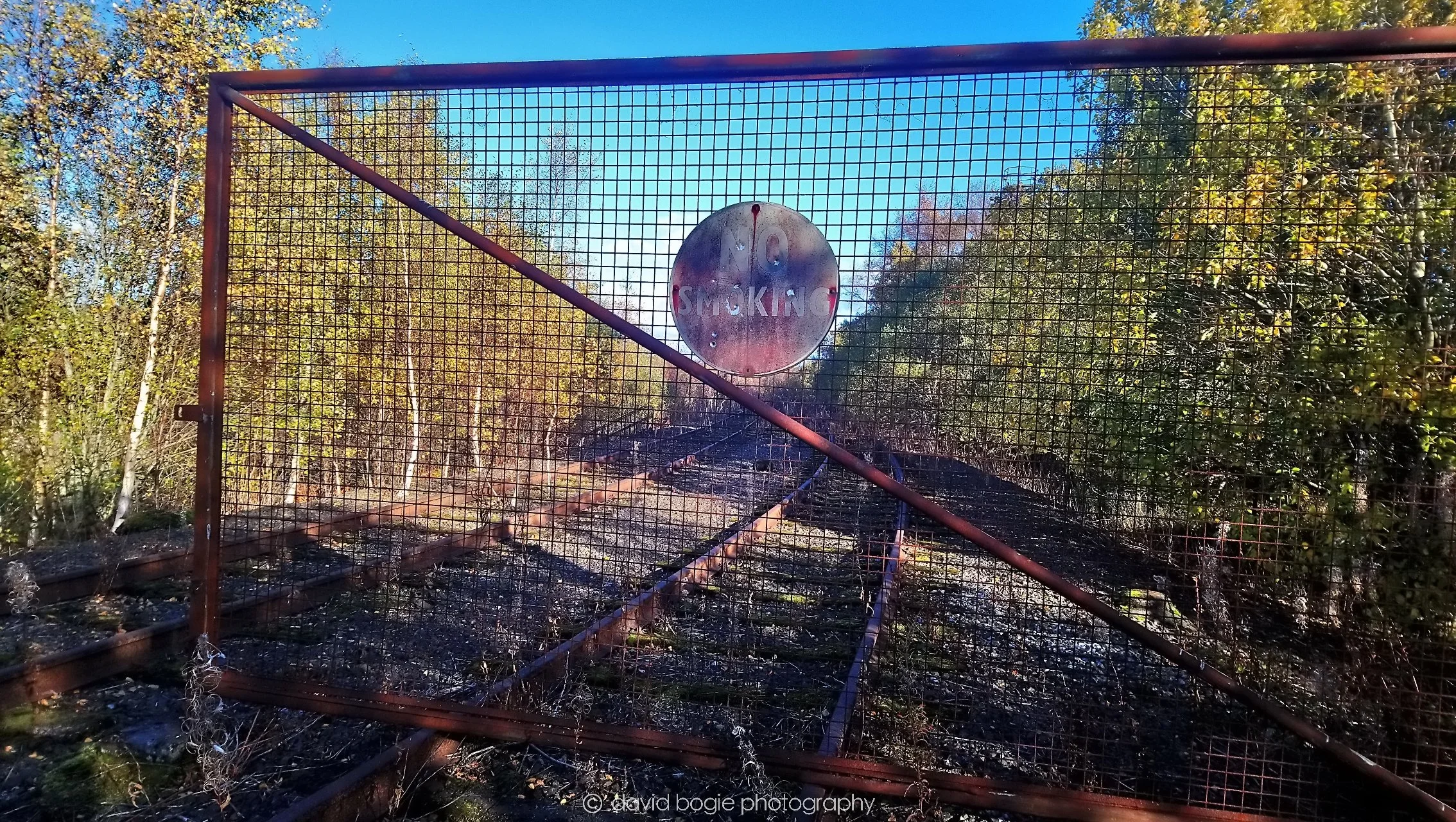 YEAR20181028 131619 Westfield 0003.jpg