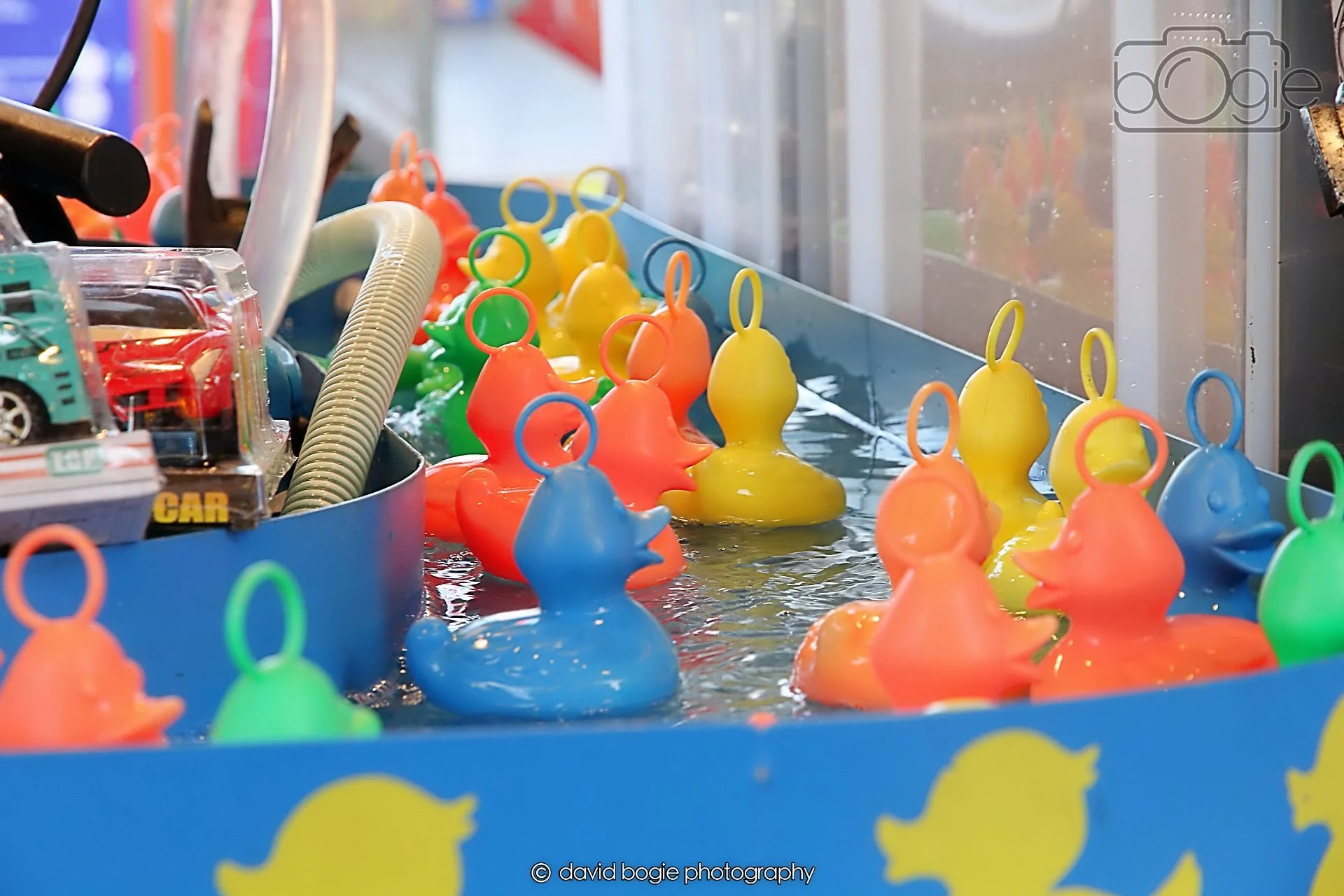 20260418 170744 Links Market 0577.jpg