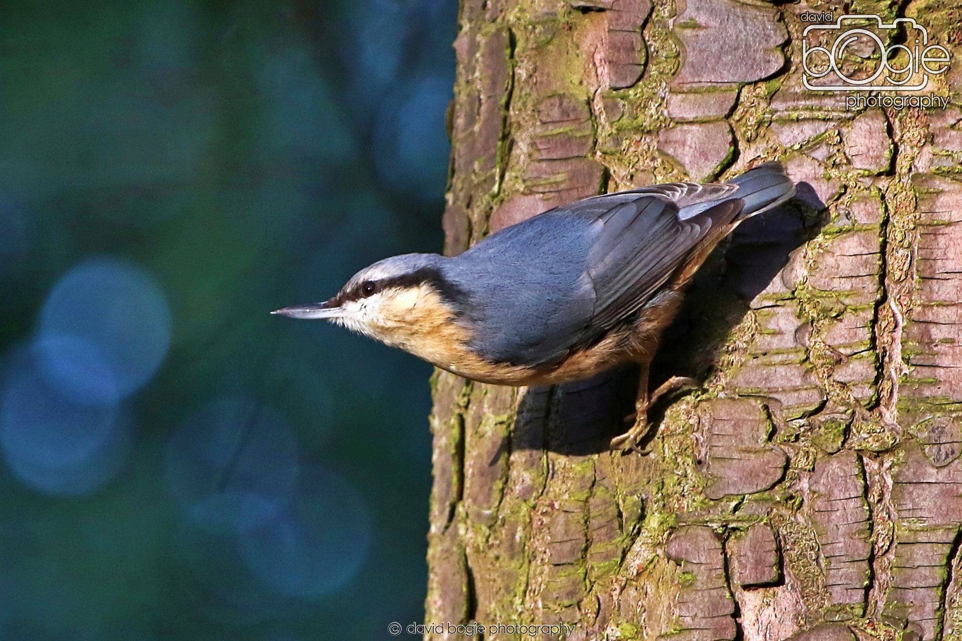 20260128 143407 Dunnikier 0410.JPG