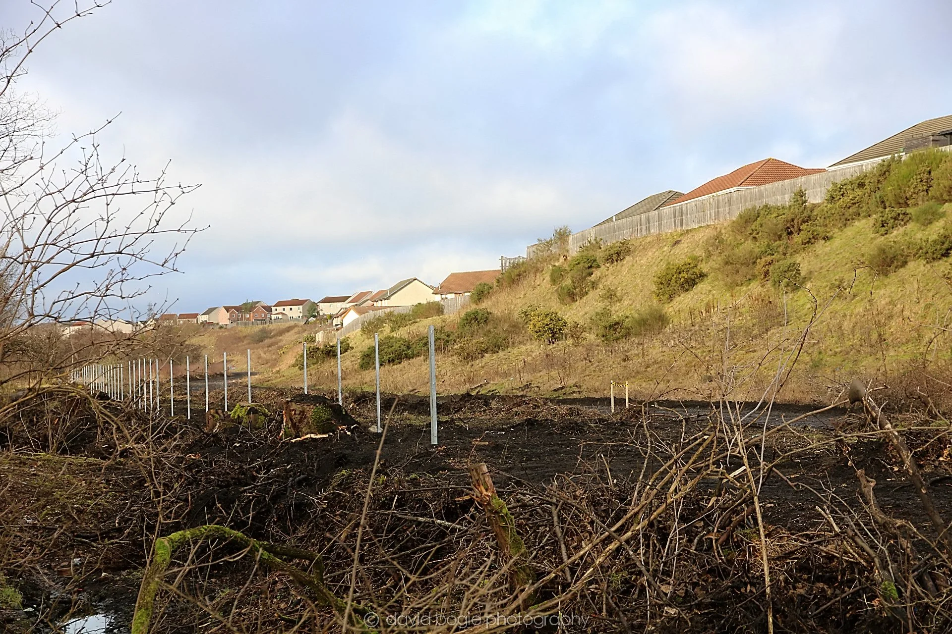 YEAR20220202 Levenmouth 00008.jpg