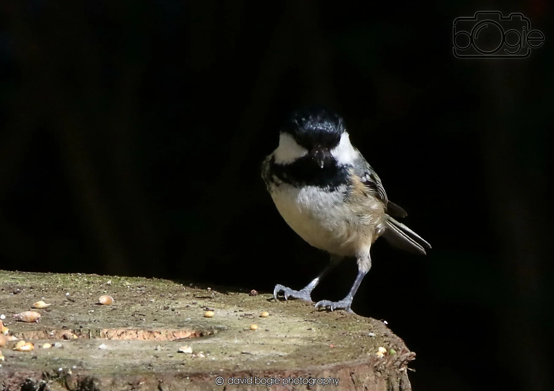 20260403 121231 Dunnikier 0026.jpg