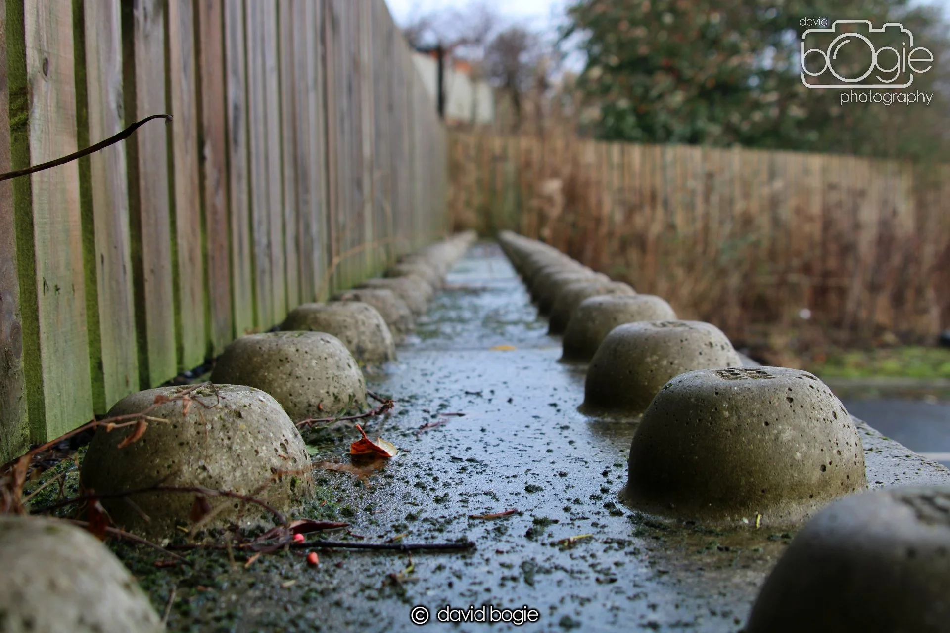 20220108 Dunfermline 00007.JPG