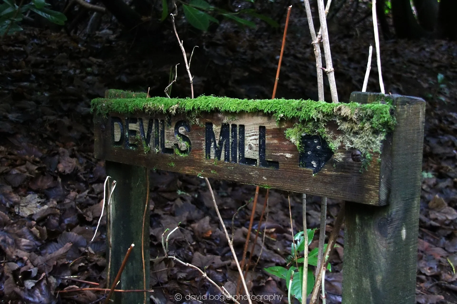 YEAR20250114 143926 Rumbling Bridge 0154.jpg