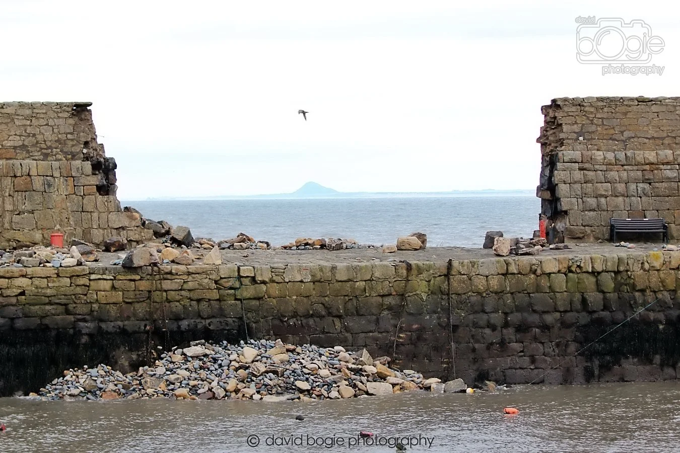 20260208 142858 Kirkcaldy 0037.jpg