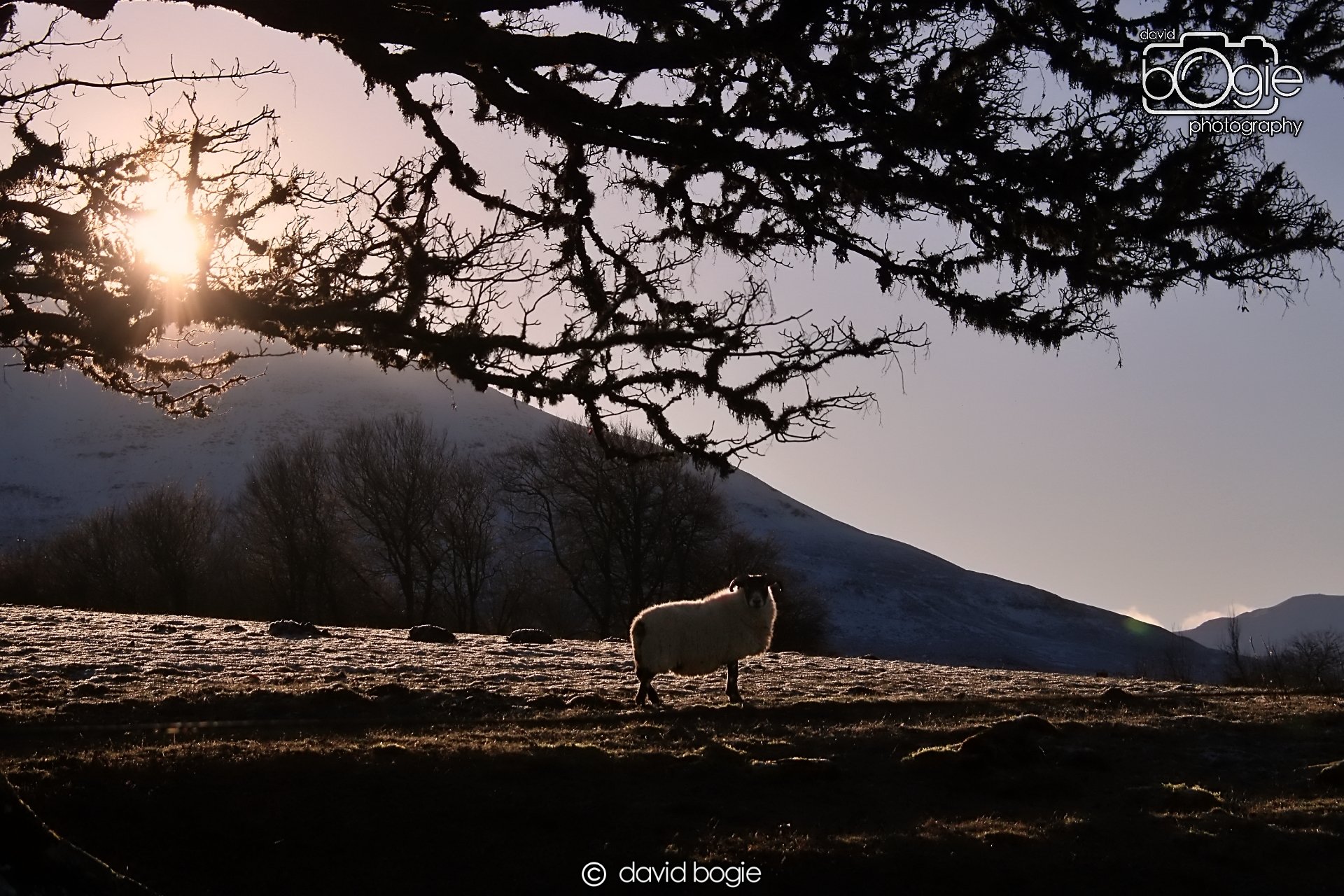 20221215 00060 Aberfeldy.JPG