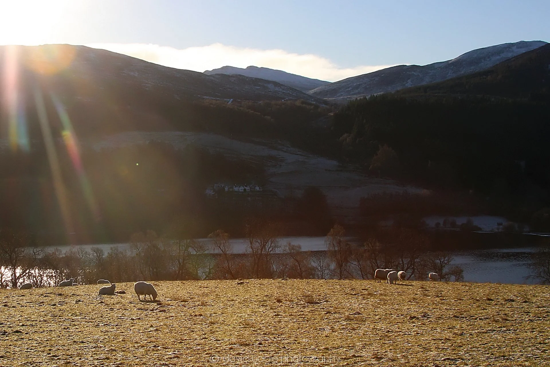 YEAR20221215 00026 Aberfeldy.jpg
