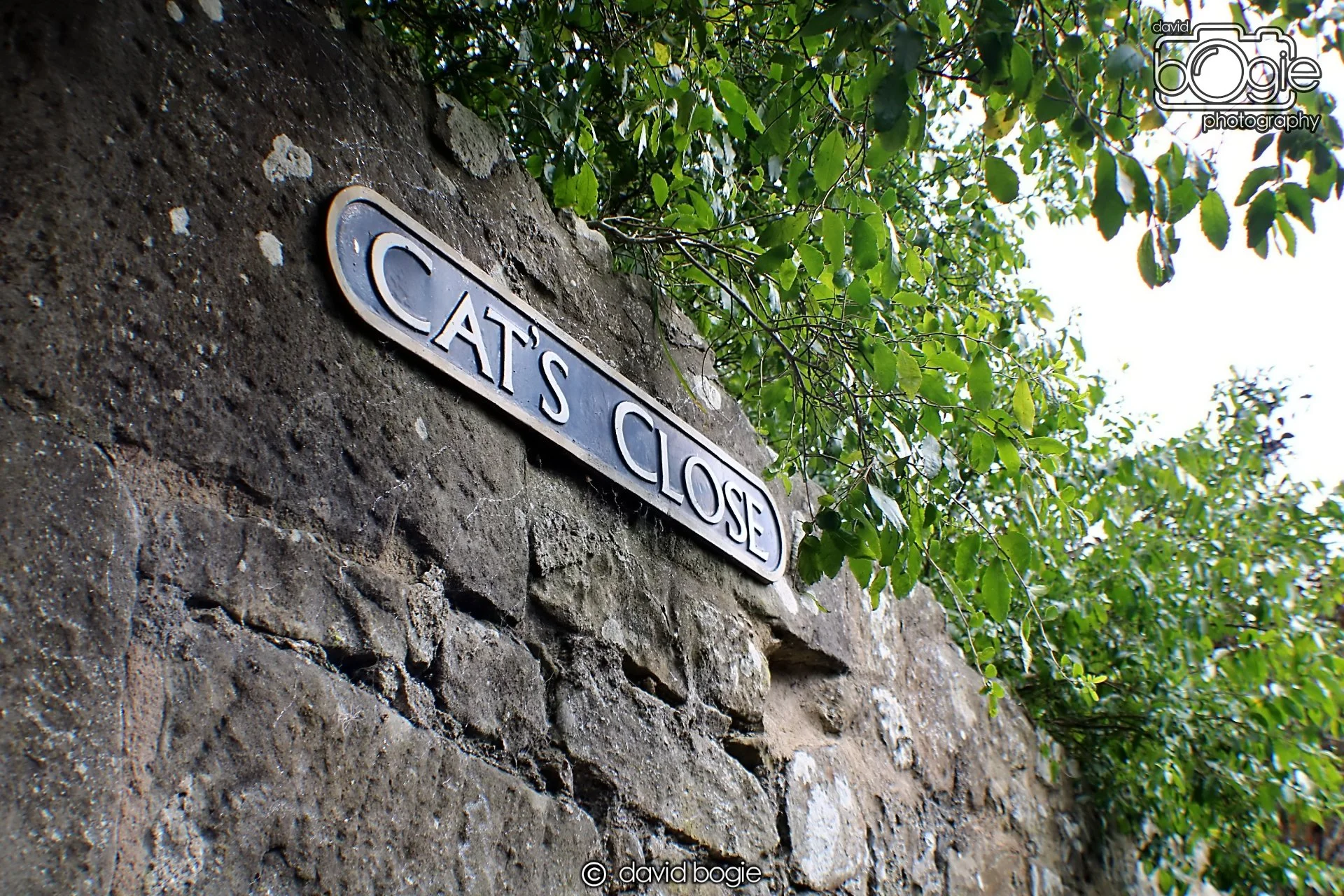 20190918 Culross (15) .jpg