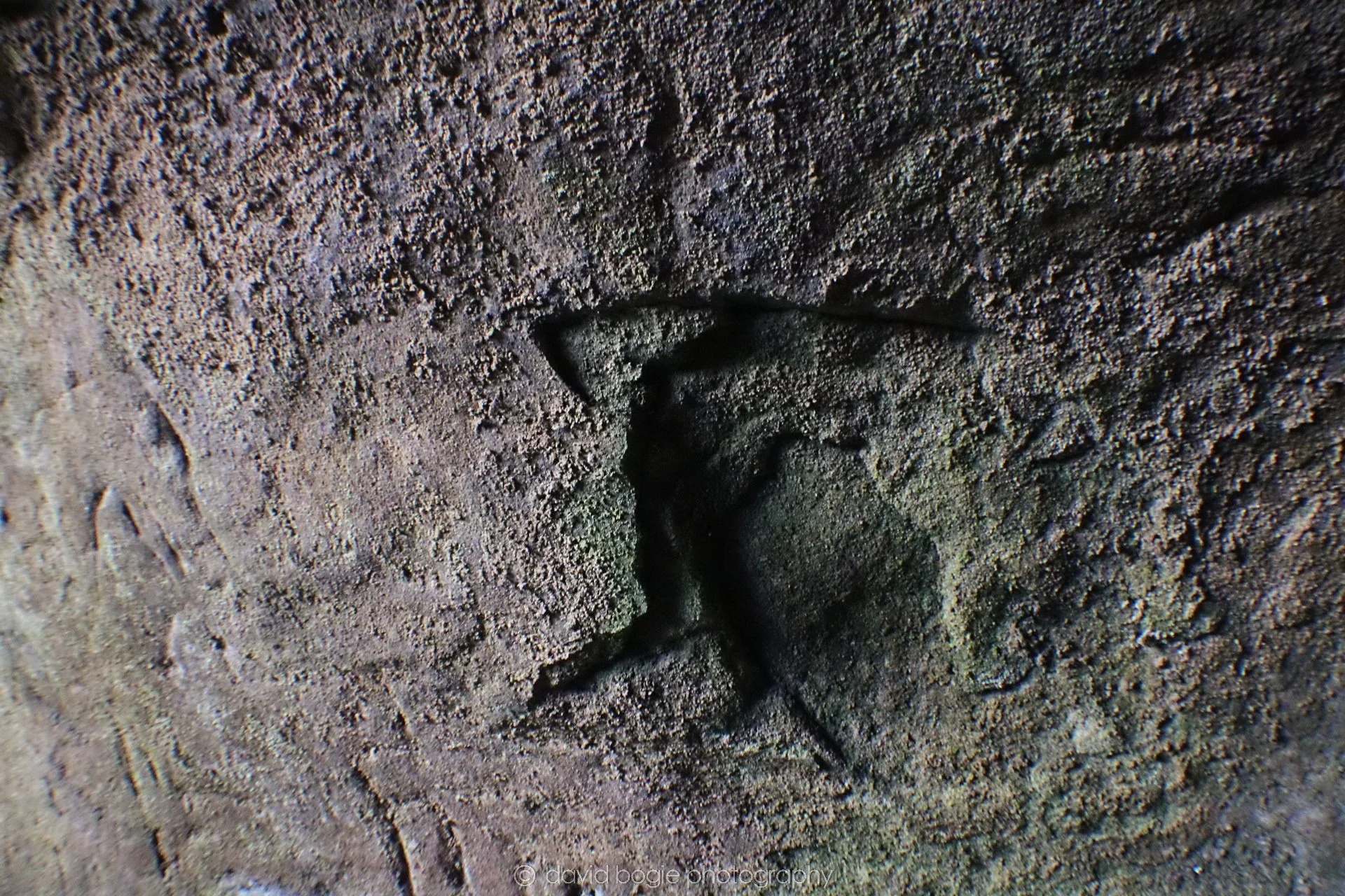 20190926 110814 Wemyss Caves 0026.jpg