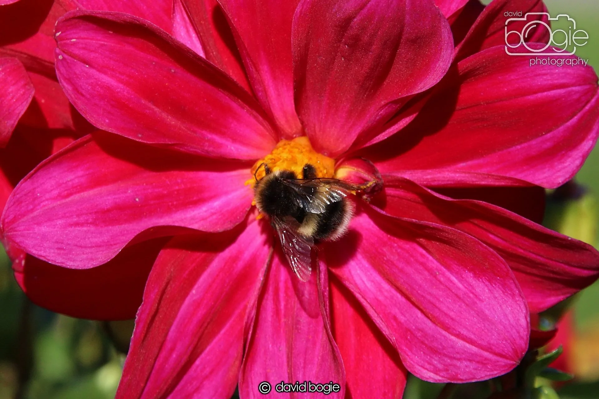 20240918 114856 Beveridge 0162.JPG