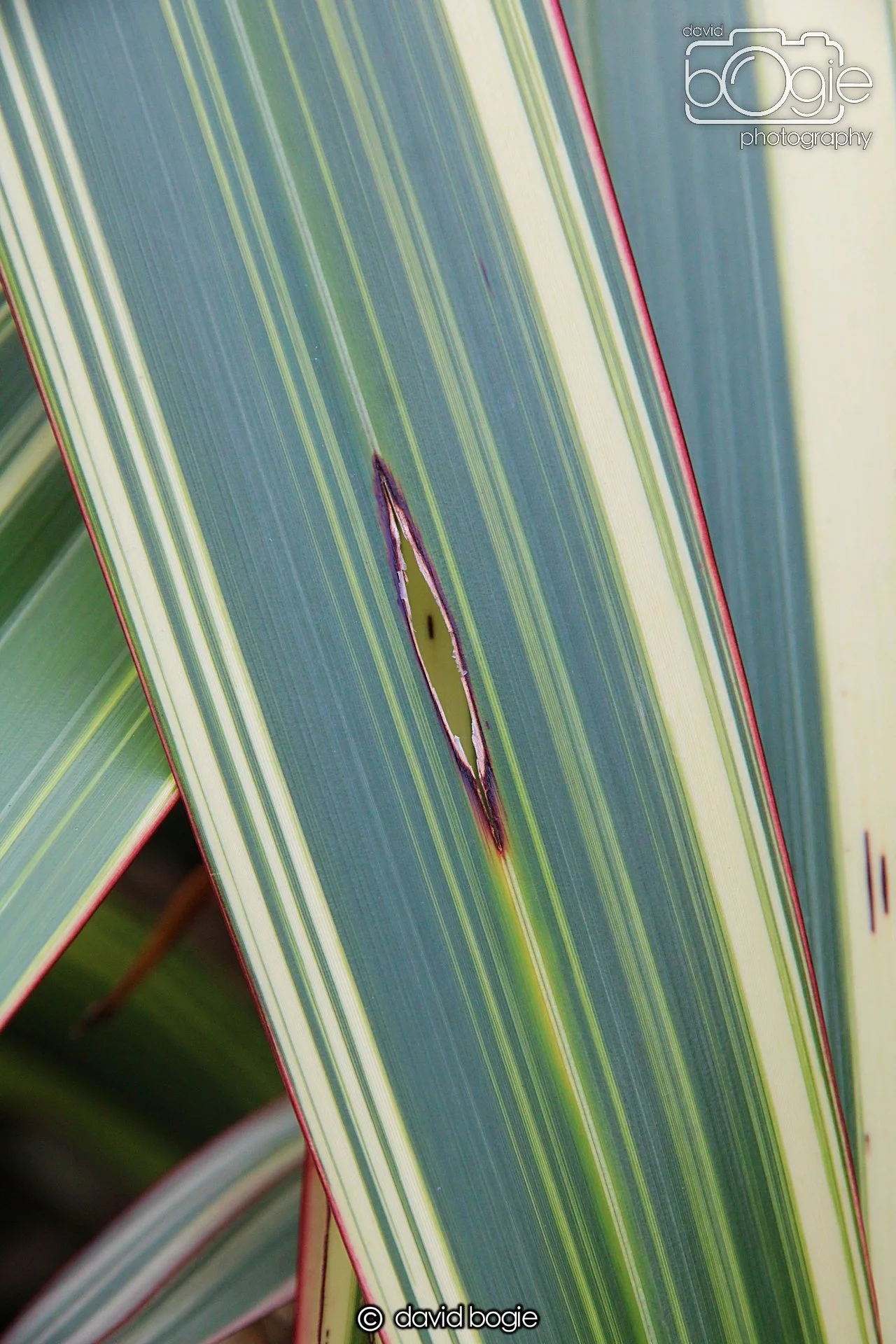 20220926 Beveridge Park17 .JPG