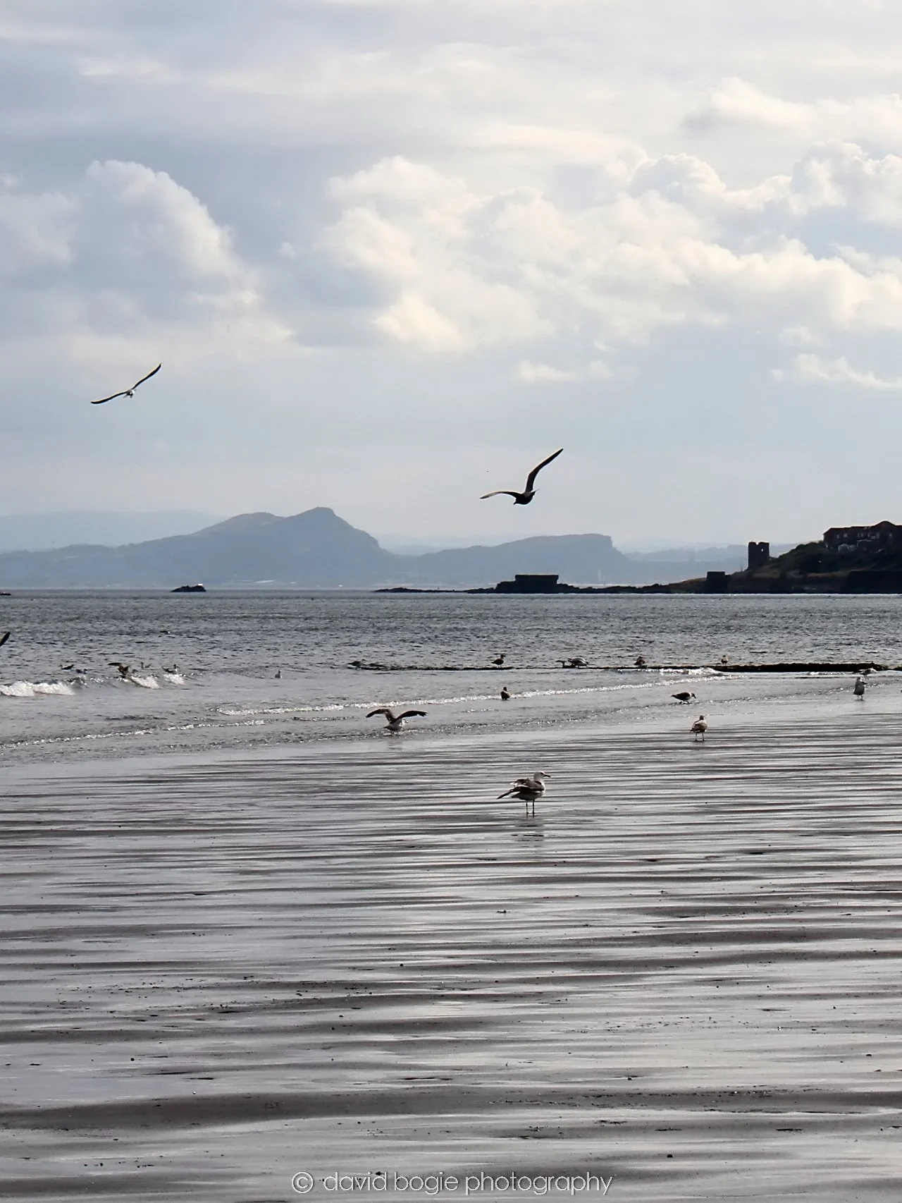 YEAR20230909 Kirkcaldy 153245 0170.jpg