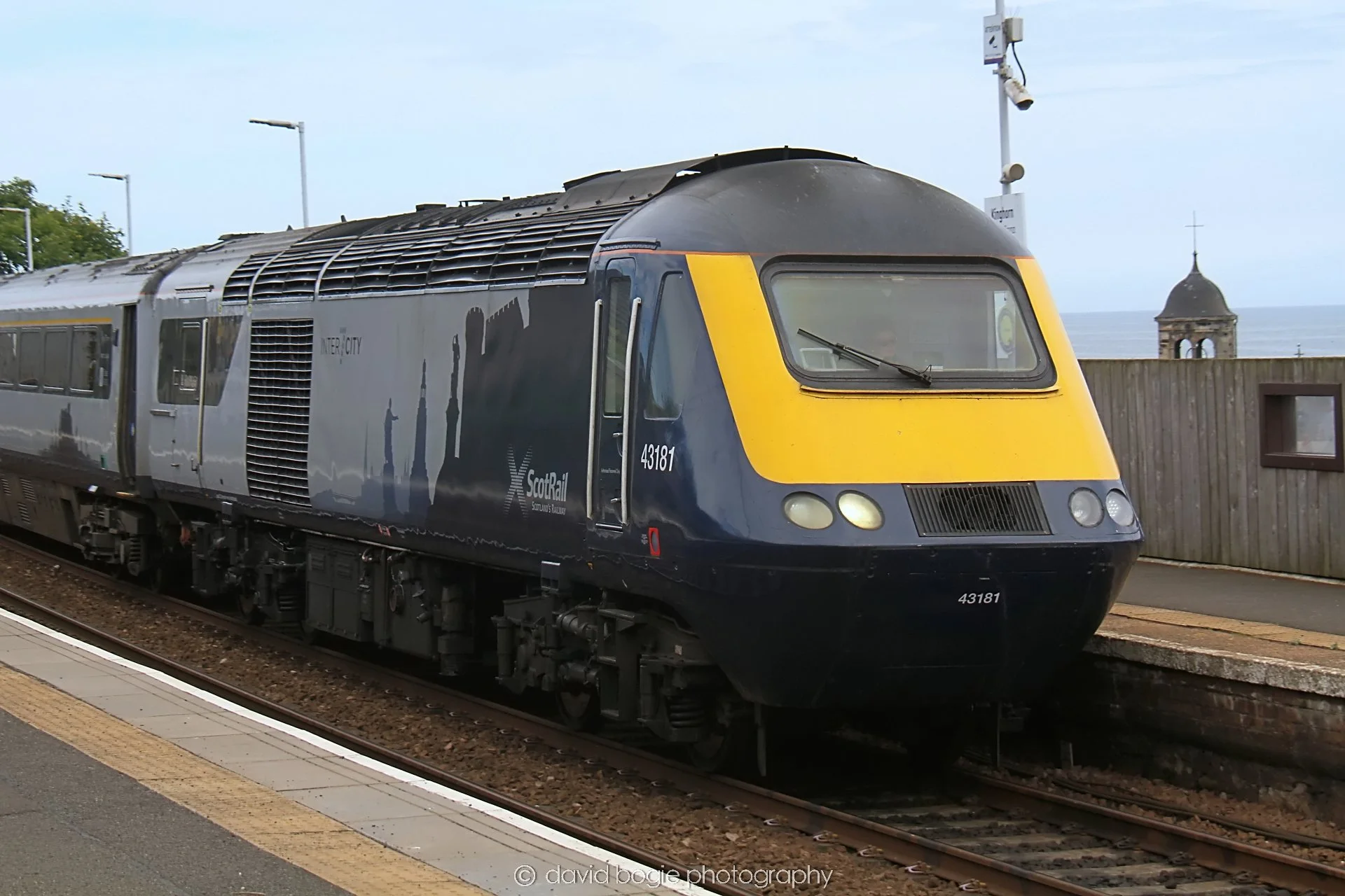 YEAR20230814 Kinghorn 135851 0222.jpg