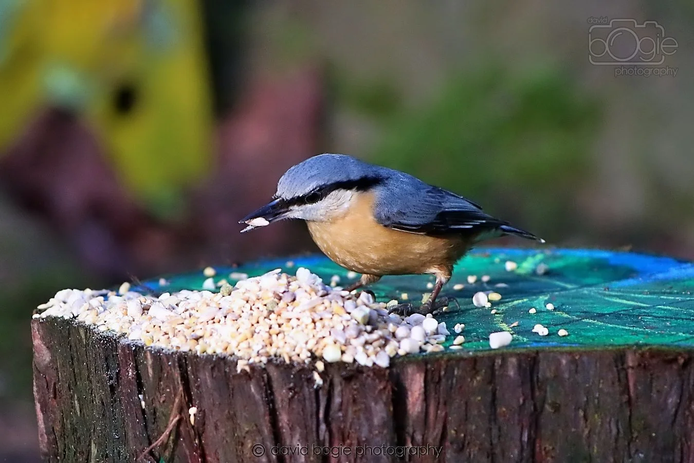 20260128 142523 Dunnikier 0363.jpg