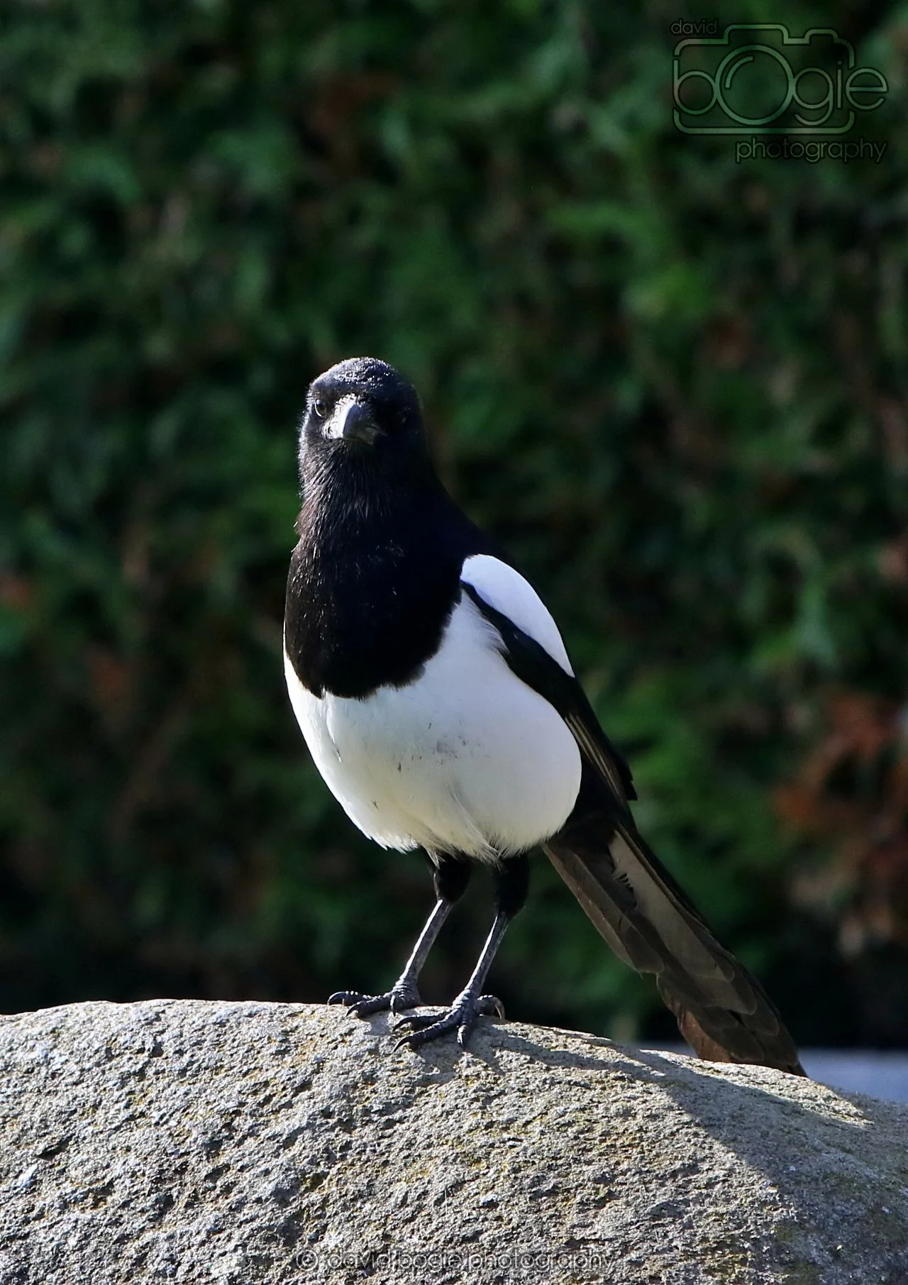 20260319 123216 Beveridge Park 0230.jpg