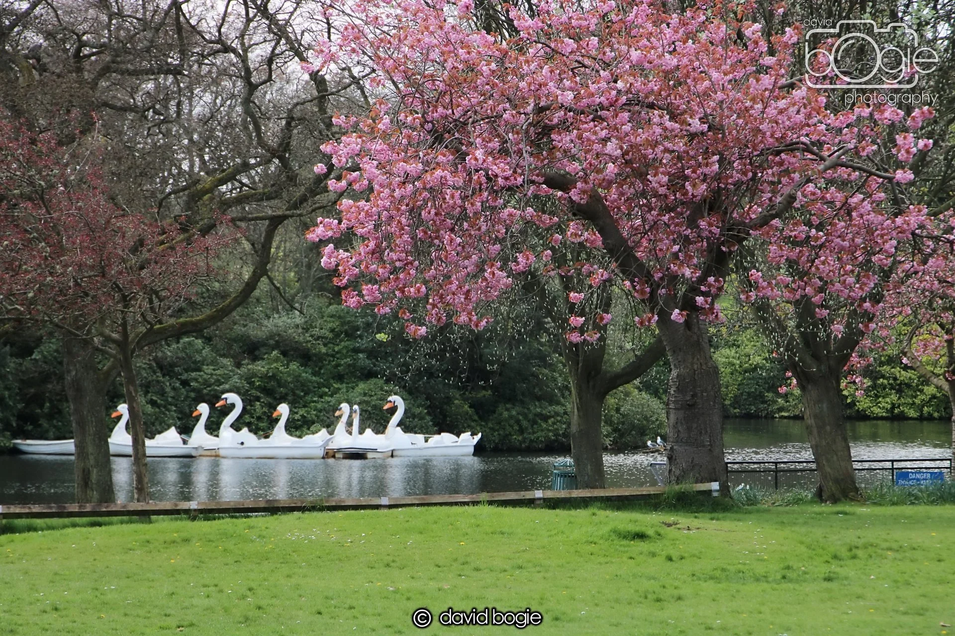 20240423 105733 Beveridge 0013.JPG