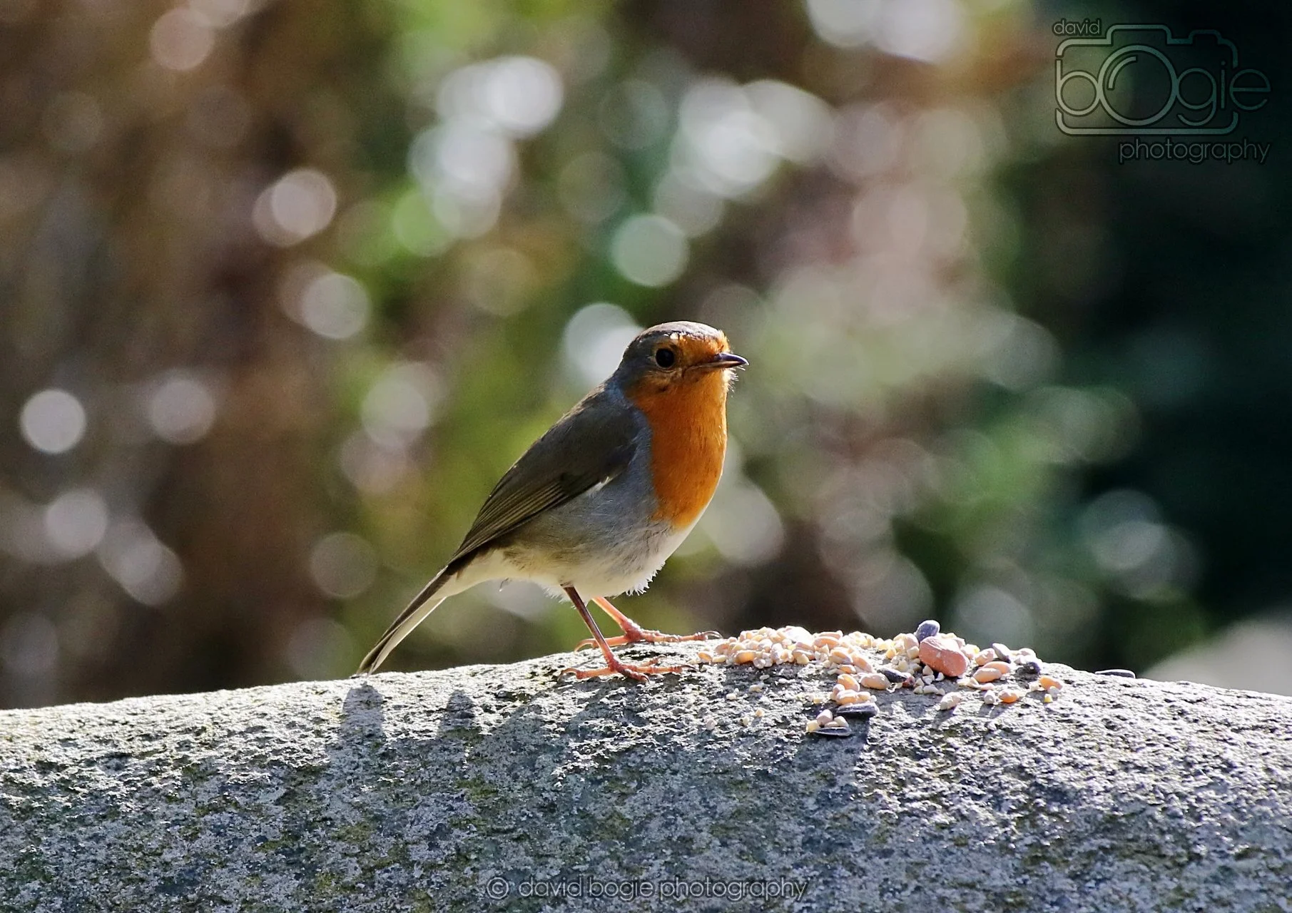 20260319 123536 Beveridge Park 0236.jpg