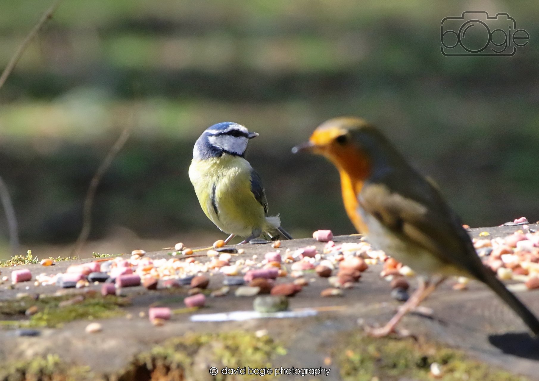 20260402 123146 Ravenscraig 0387.jpg