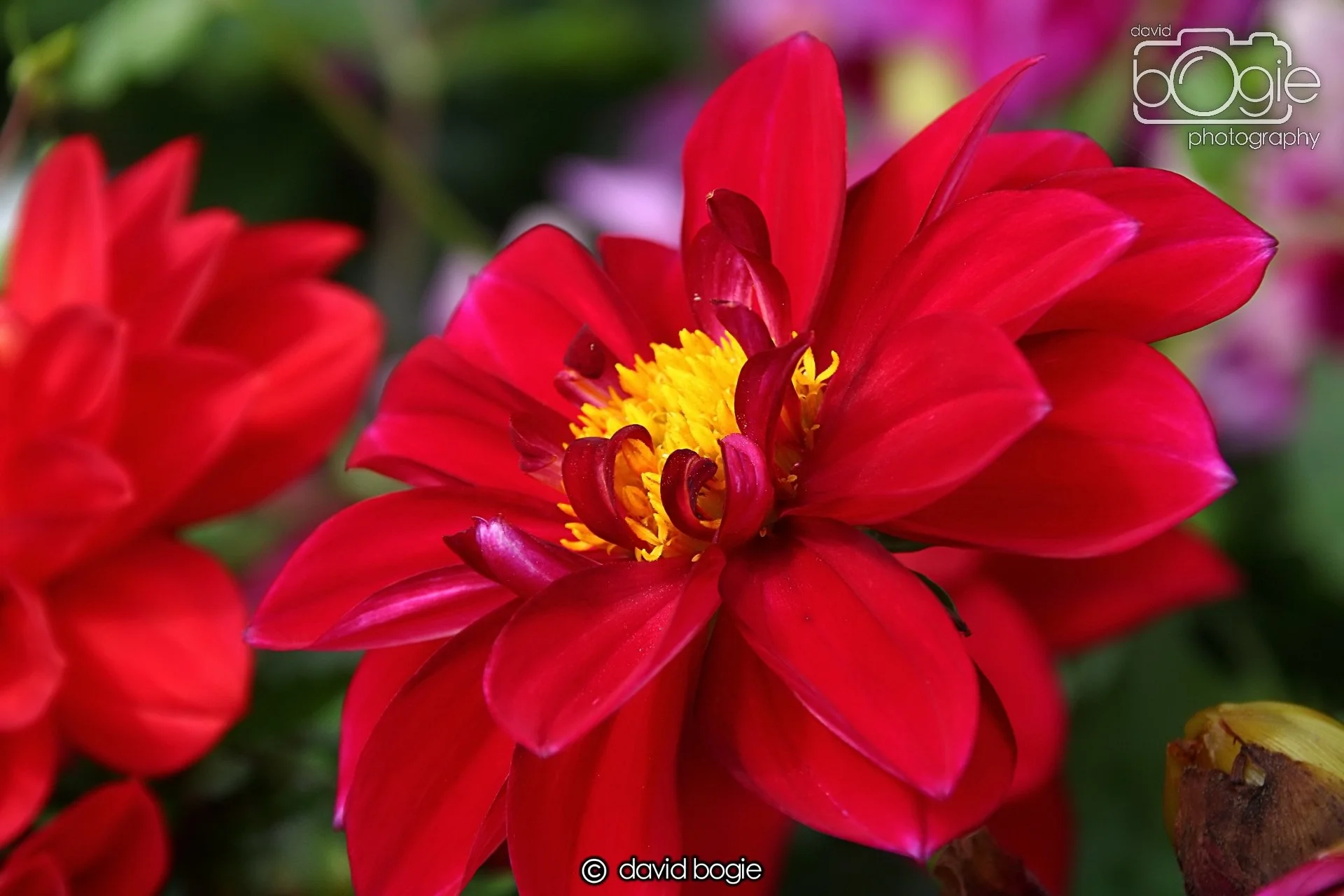 20240722 131921 Beveridge 0076.JPG