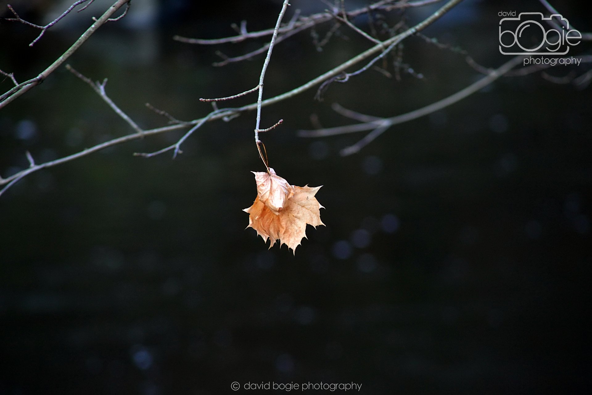 20251205 125955 East Calder 0060.JPG